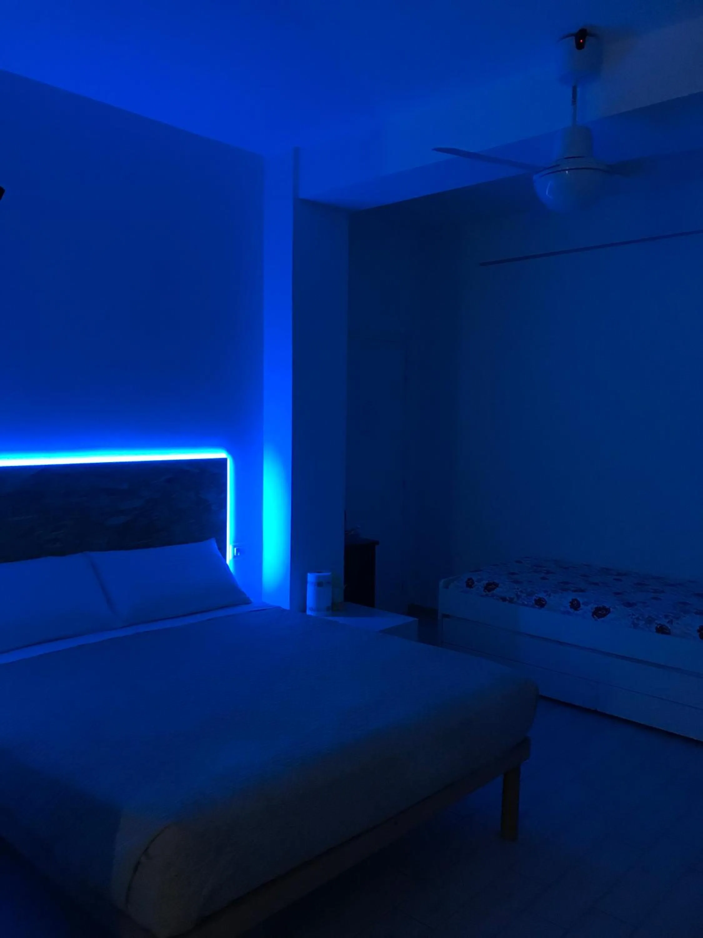 Bed in fronteMare Faleria