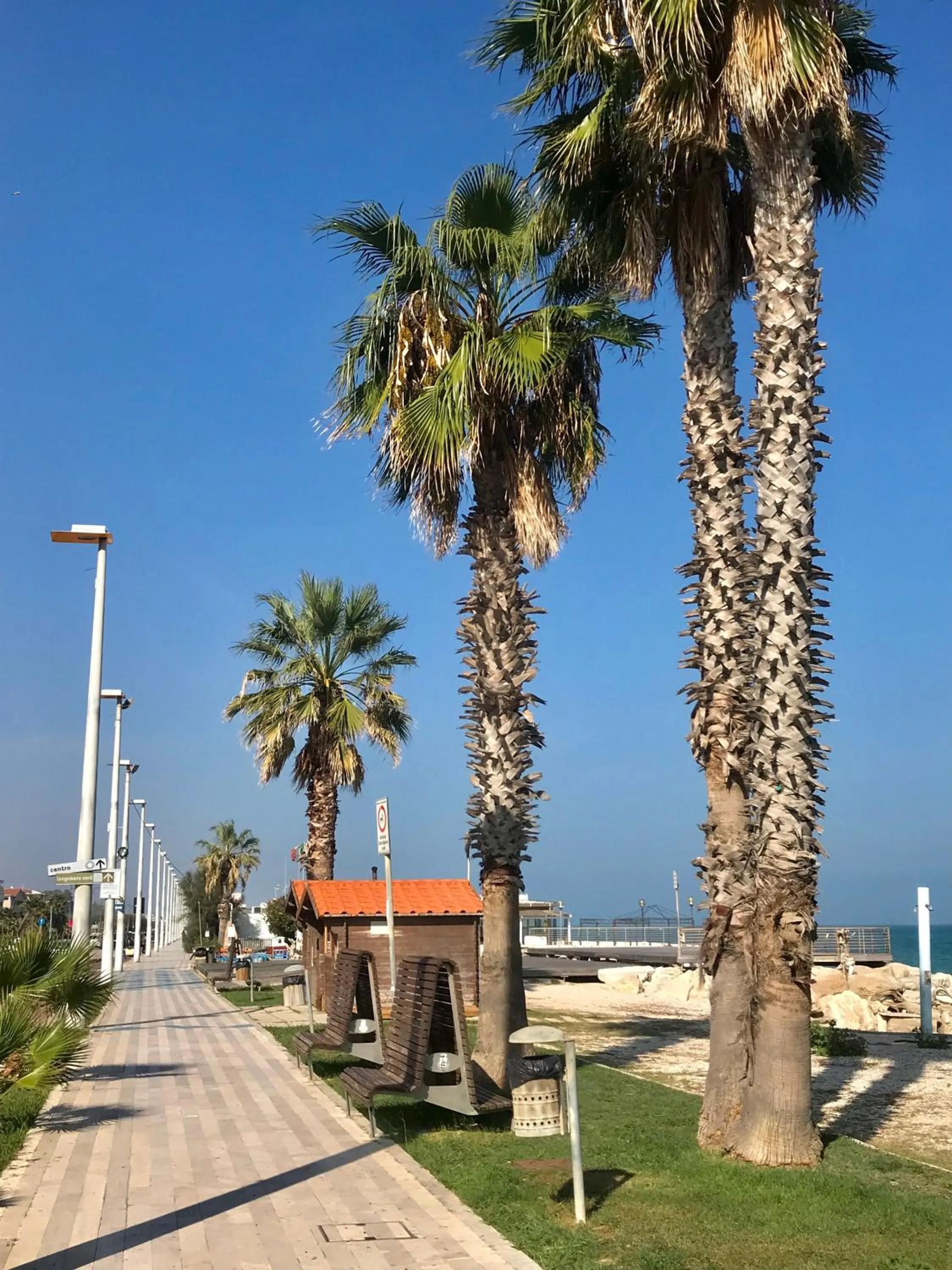 Day in fronteMare Faleria