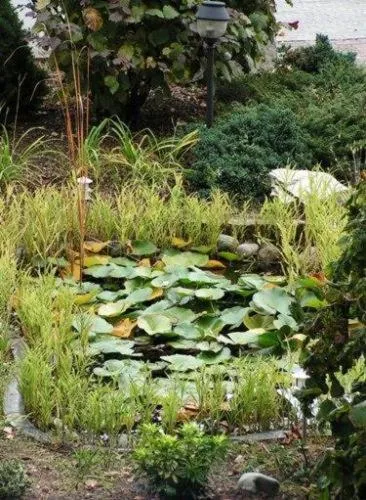 Garden in Hotel Klein Frankfurt