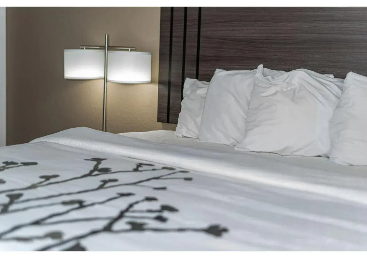 Bed in Bear Creek Inn Gatlinburg, TN Bed in Bear Creek Inn Gatlinburg, TN