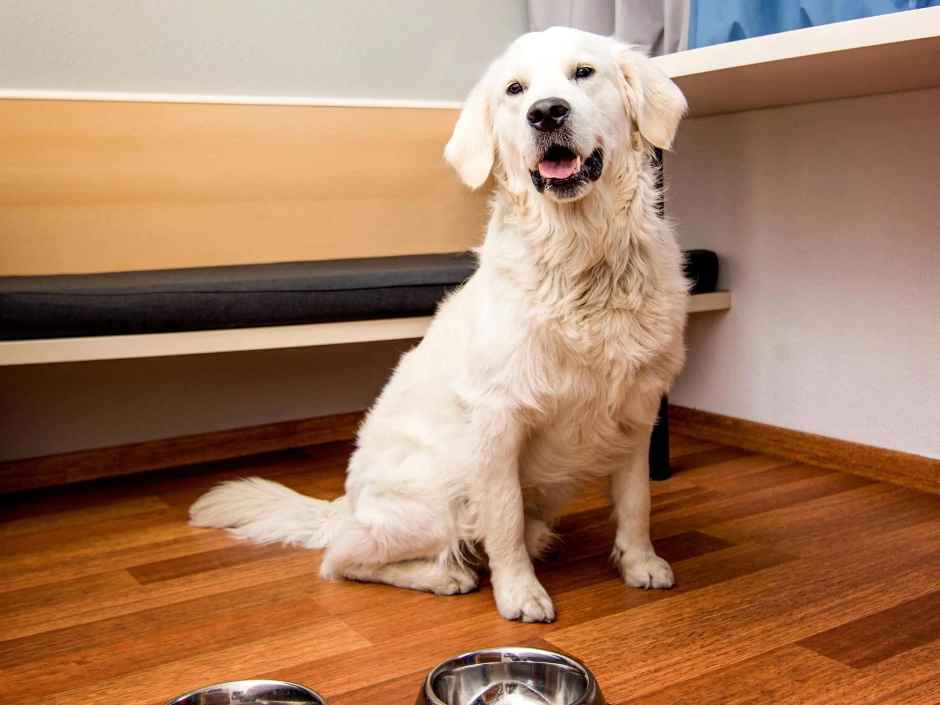 Other in Fora Hotel Hannover by Mercure