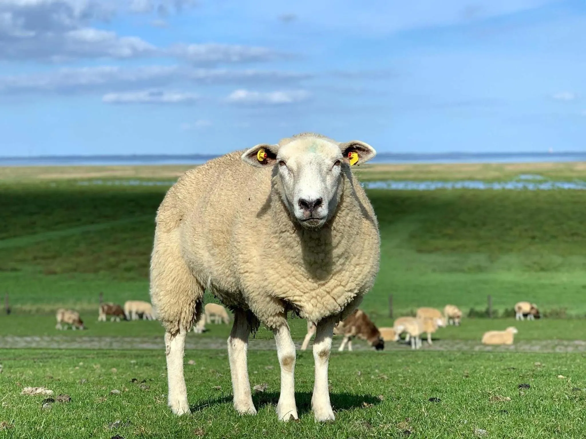 Beach in Hotel Hinrichs
