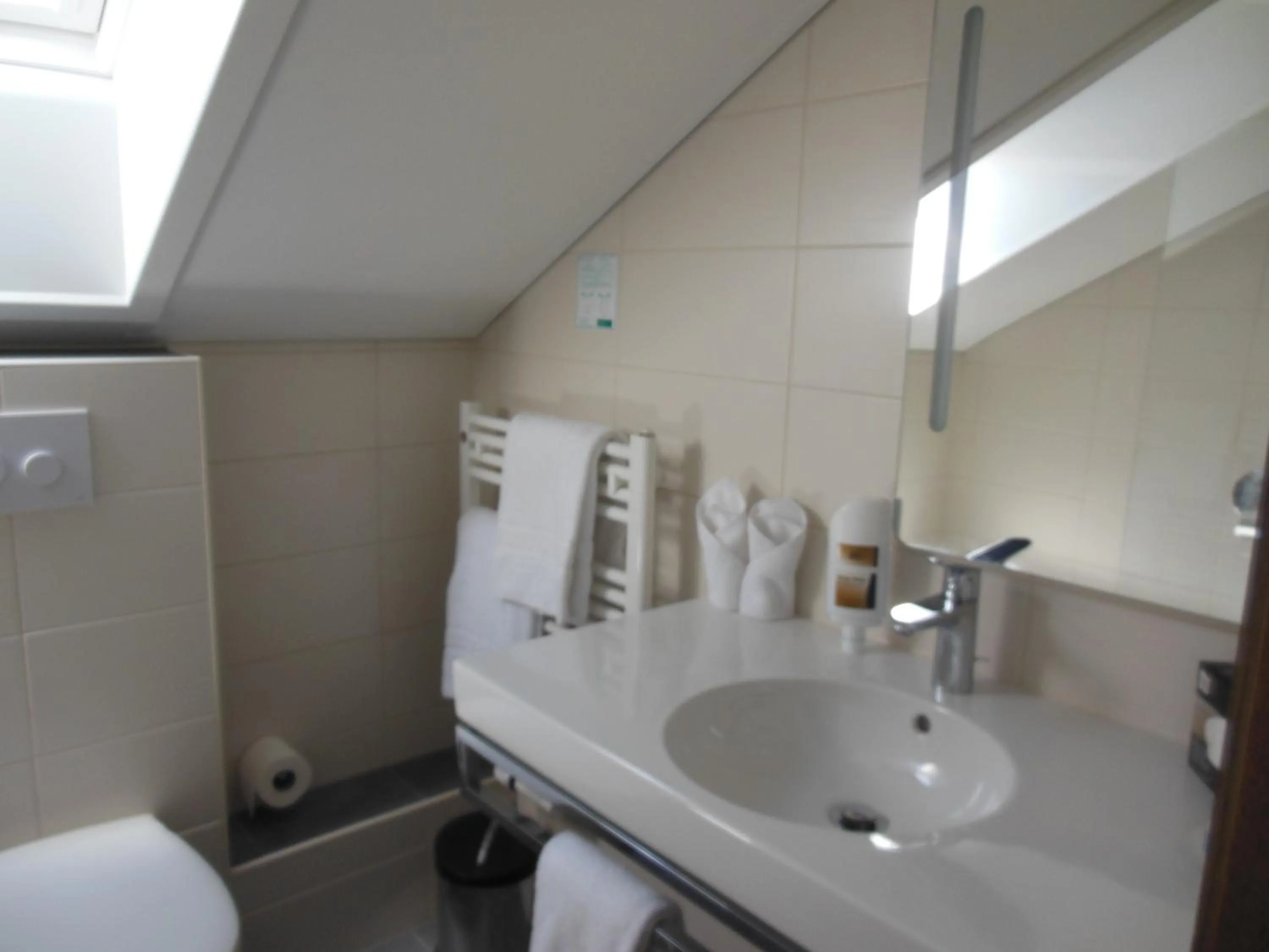 Bathroom in Hotel & Restaurant Zum Ochsen -Ox Distillery