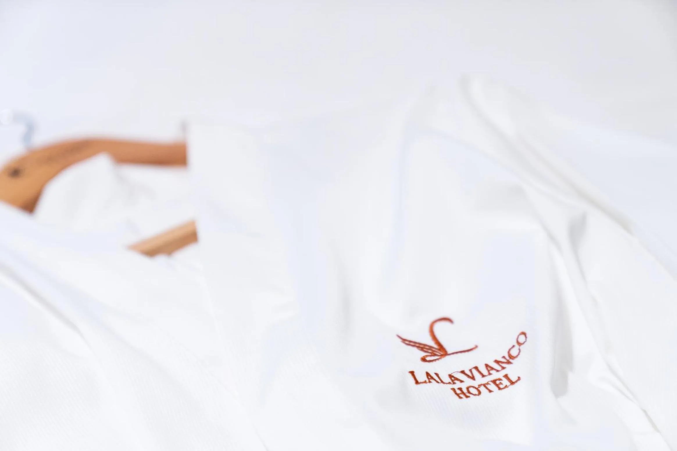 LALA VIANCO BUSINESS Hotel