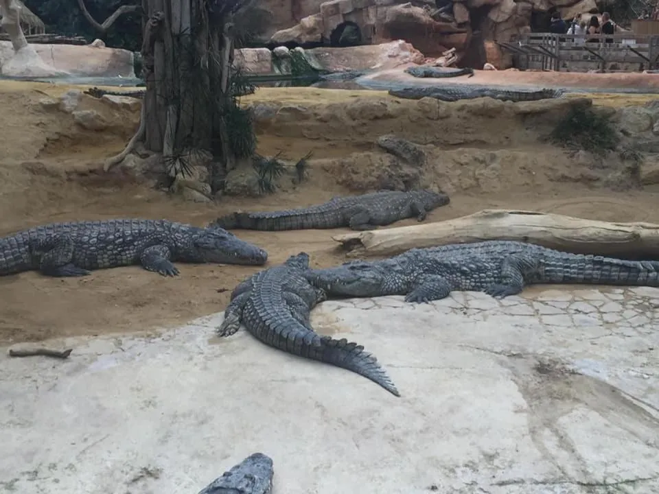 Chambre d’hôtes vaucluse