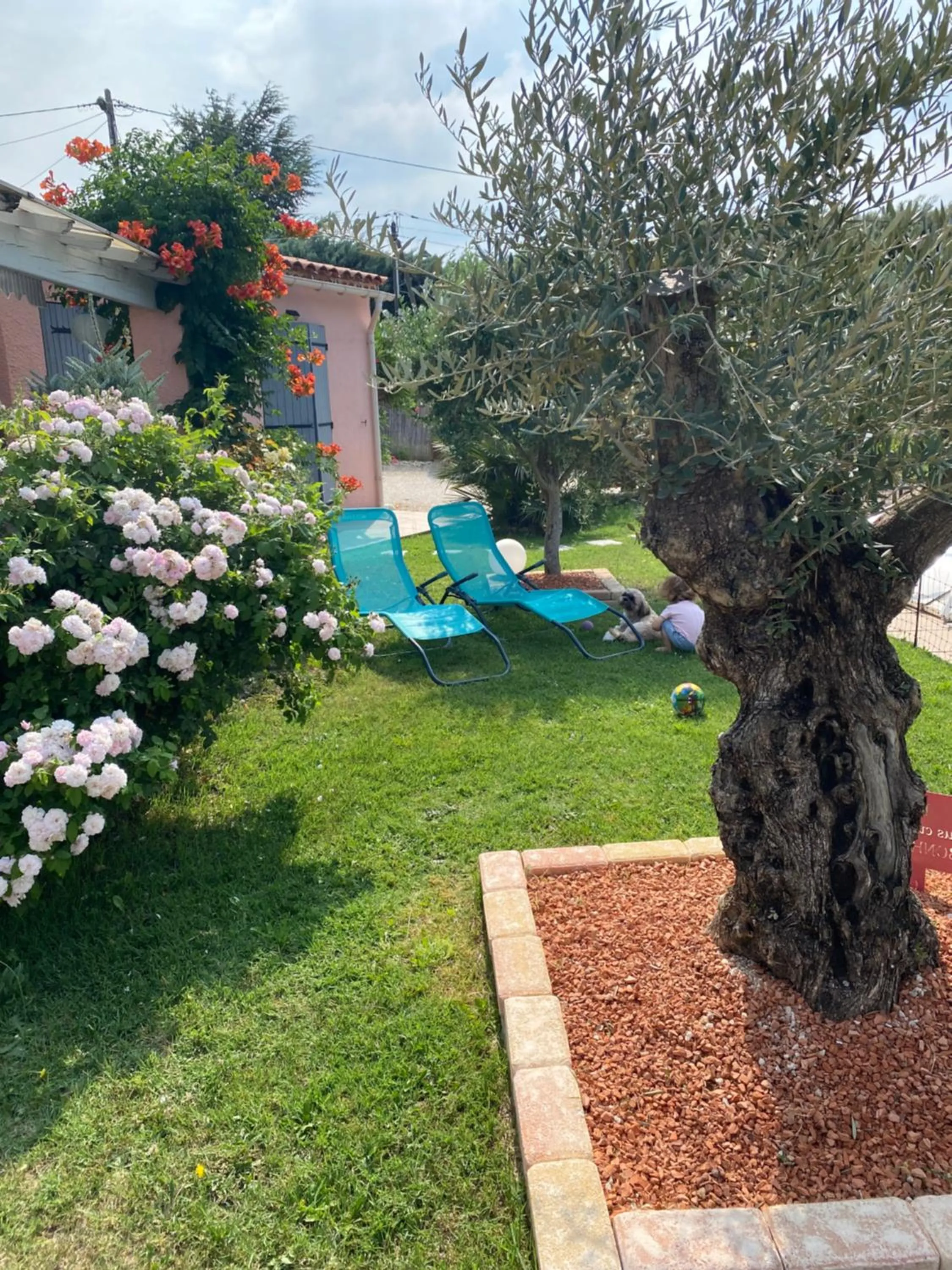 Garden in Chambre d’hôtes vaucluse