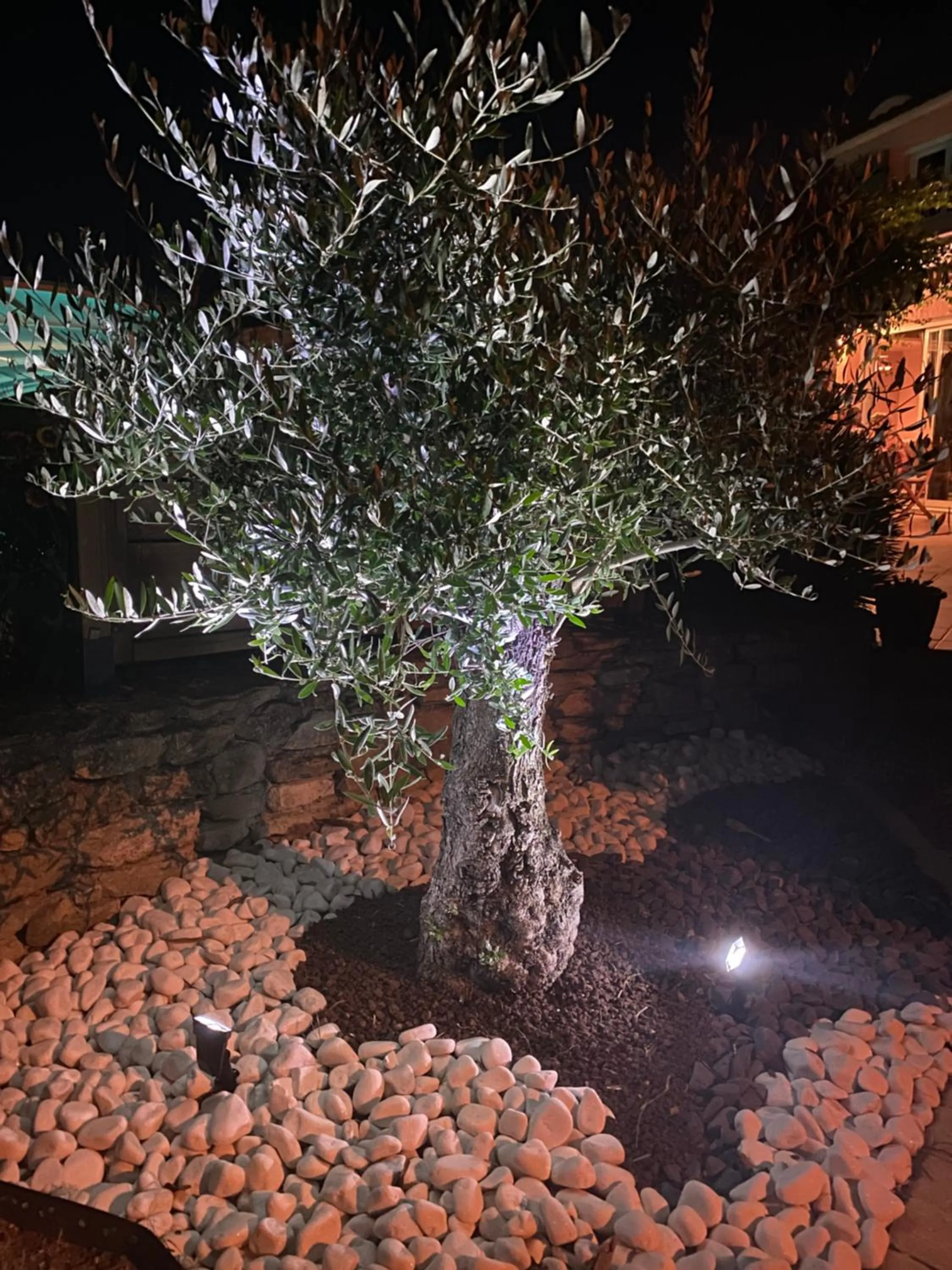 Night in Chambre d’hôtes vaucluse