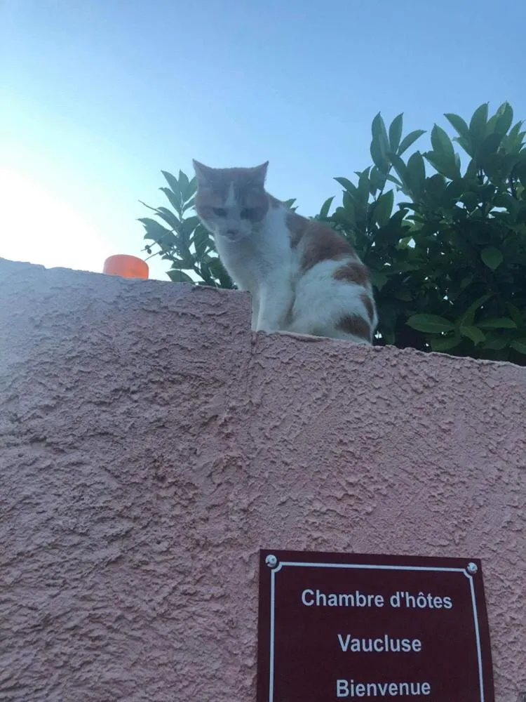 Facade/entrance in Chambre d’hôtes vaucluse