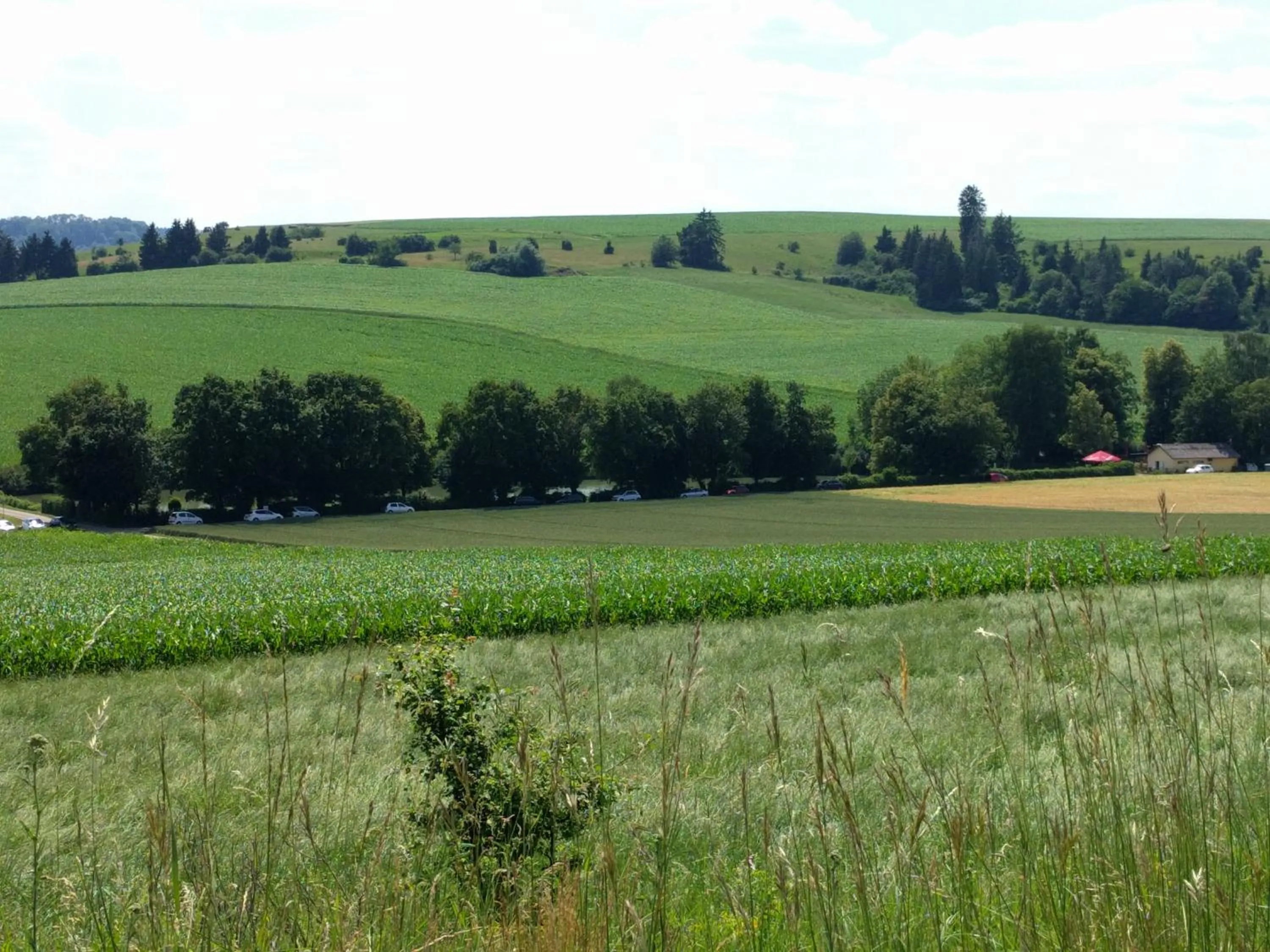 Hiking in Tagungshaus Reimlingen