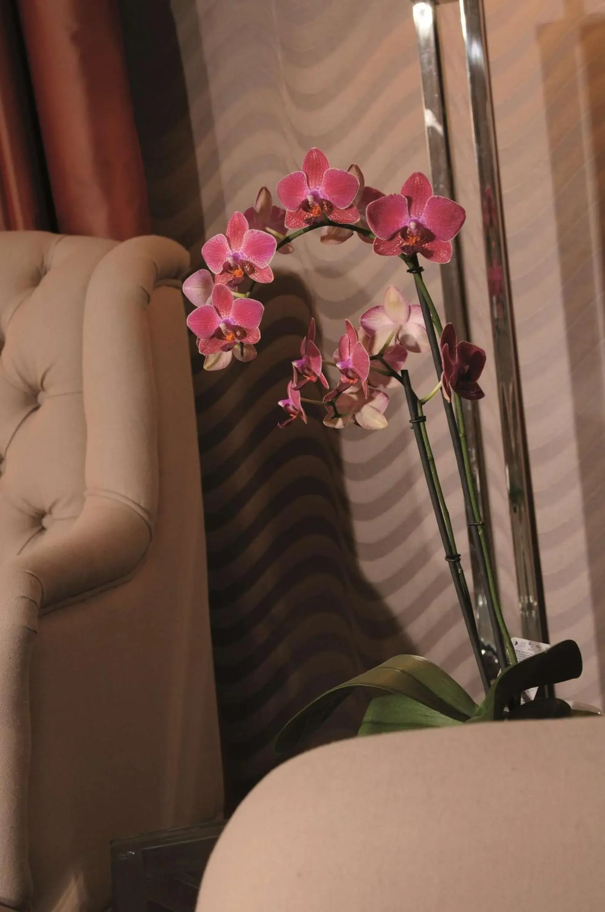 Bedroom in Best Western Plus Hotel StadtPalais Bedroom in Best Western Plus Hotel StadtPalais