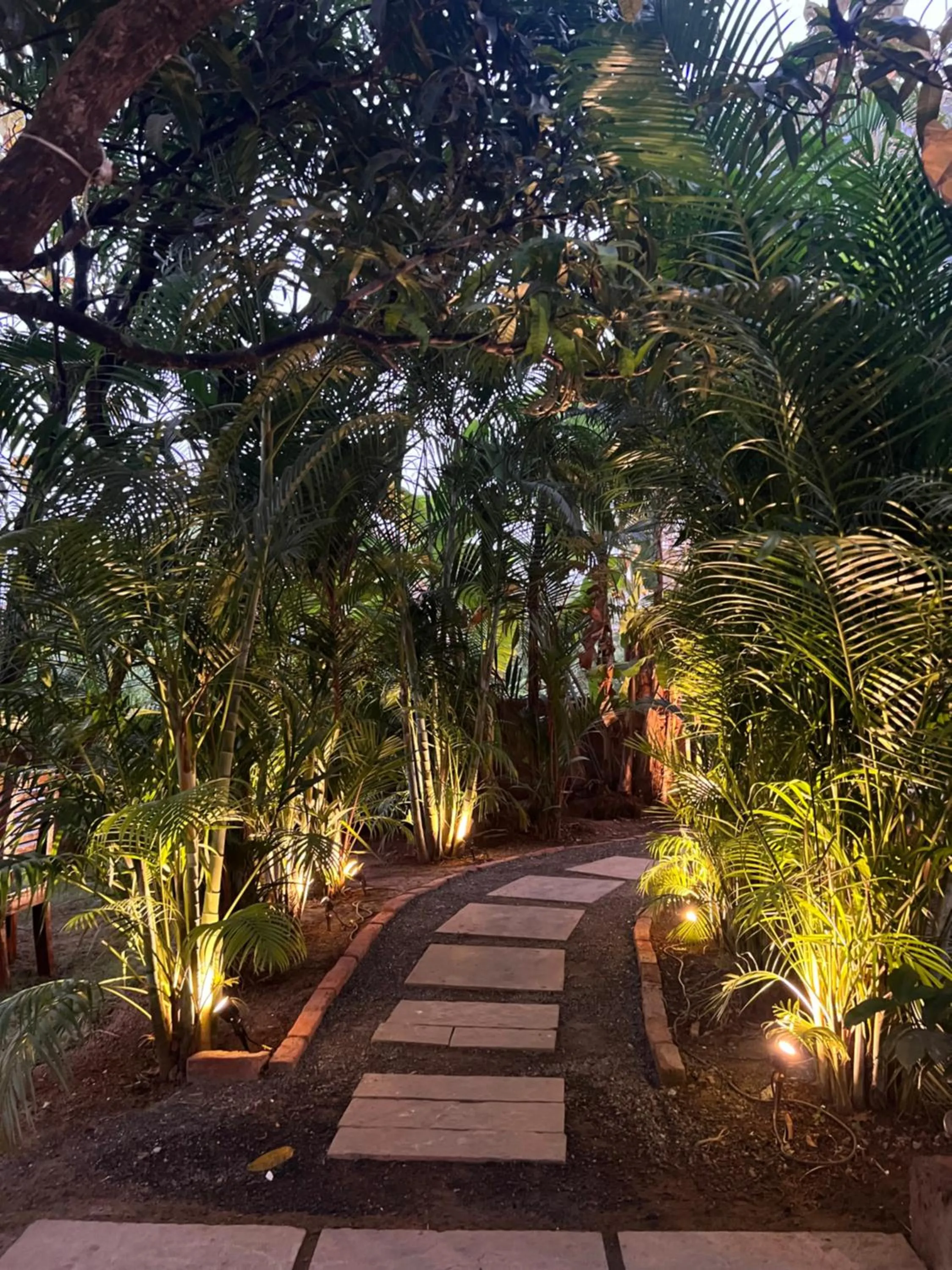 Natural landscape in Aaria Hills