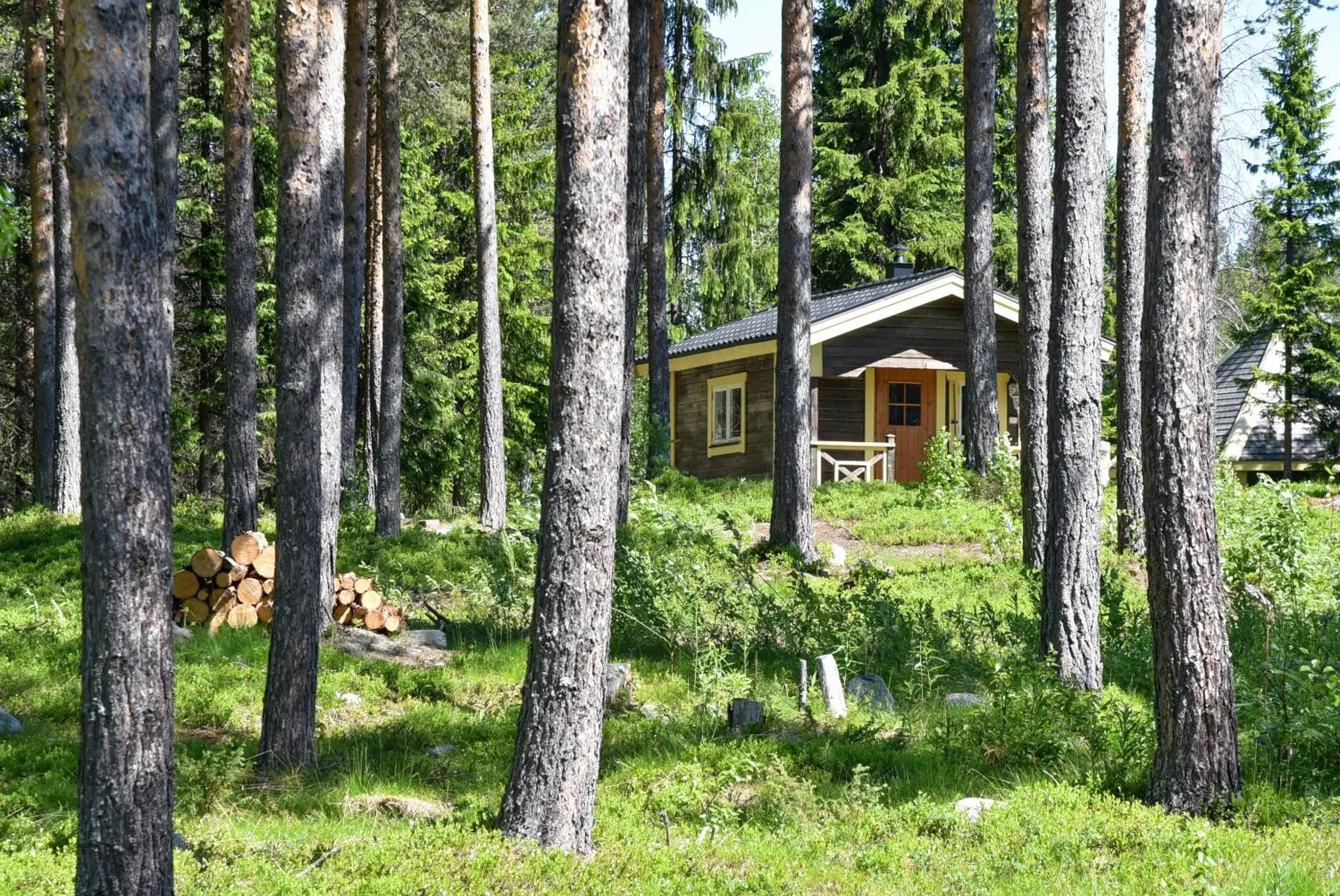 Cabin with Bunk Bed in Big River Camp Hotel & Spa Cabin with Bunk Bed in Big River Camp Hotel & Spa