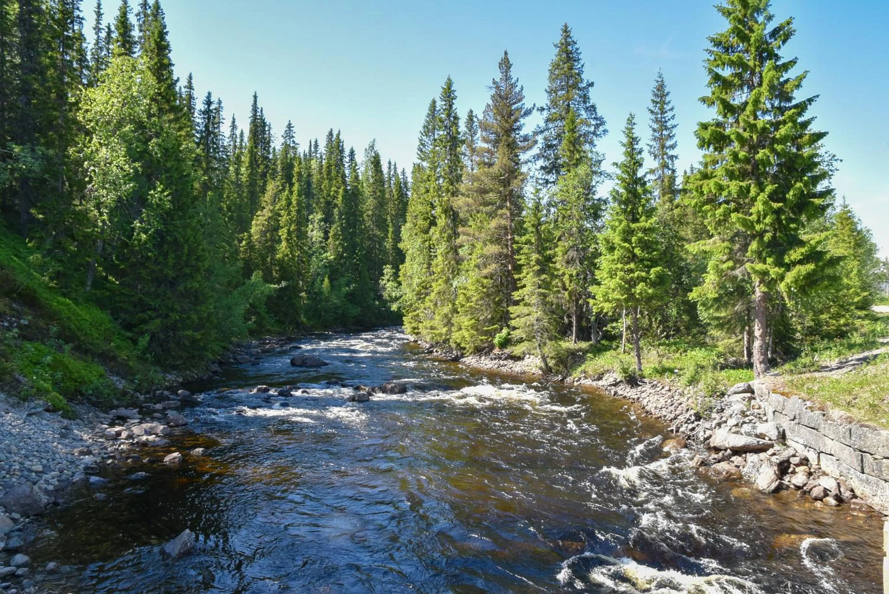 Natural landscape in Big River Camp Hotel & Spa