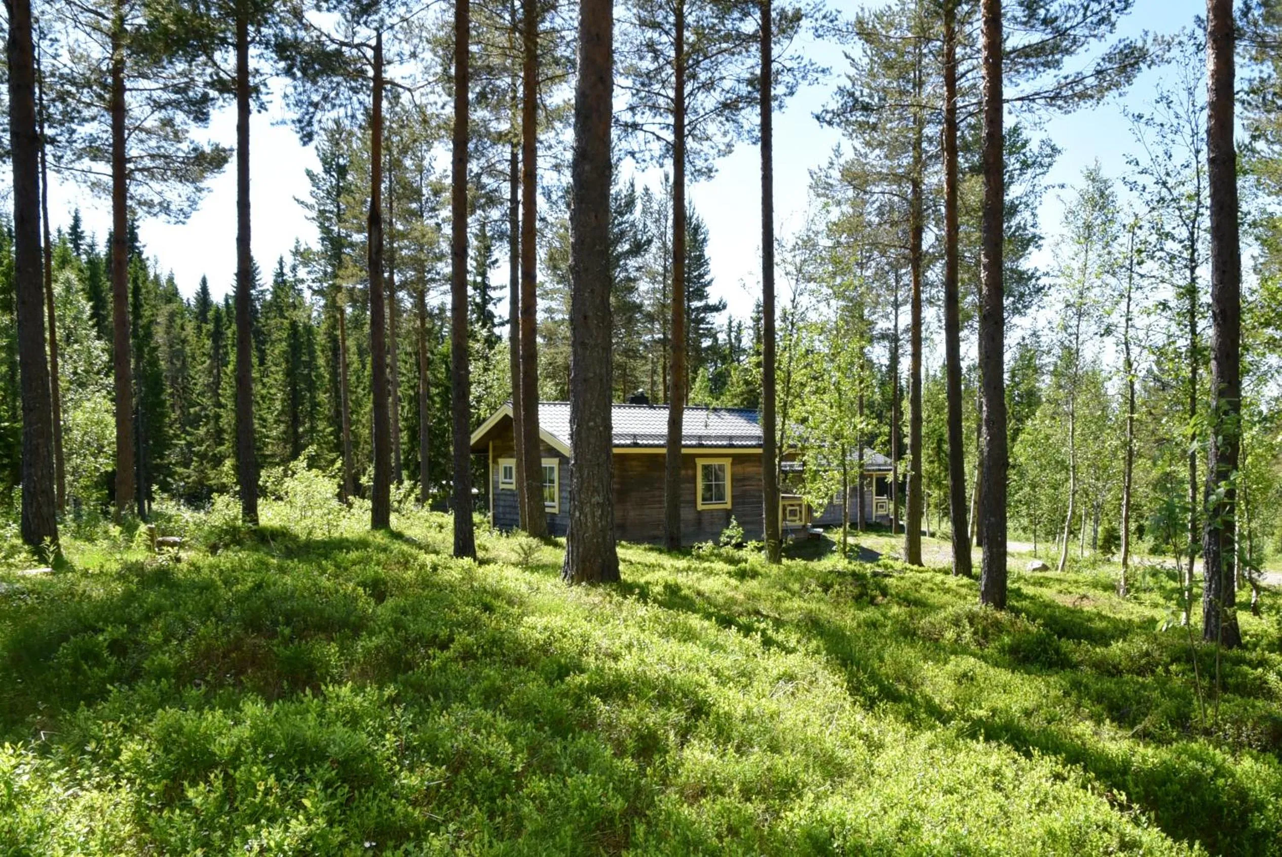 Area and facilities in Big River Camp Hotel & Spa