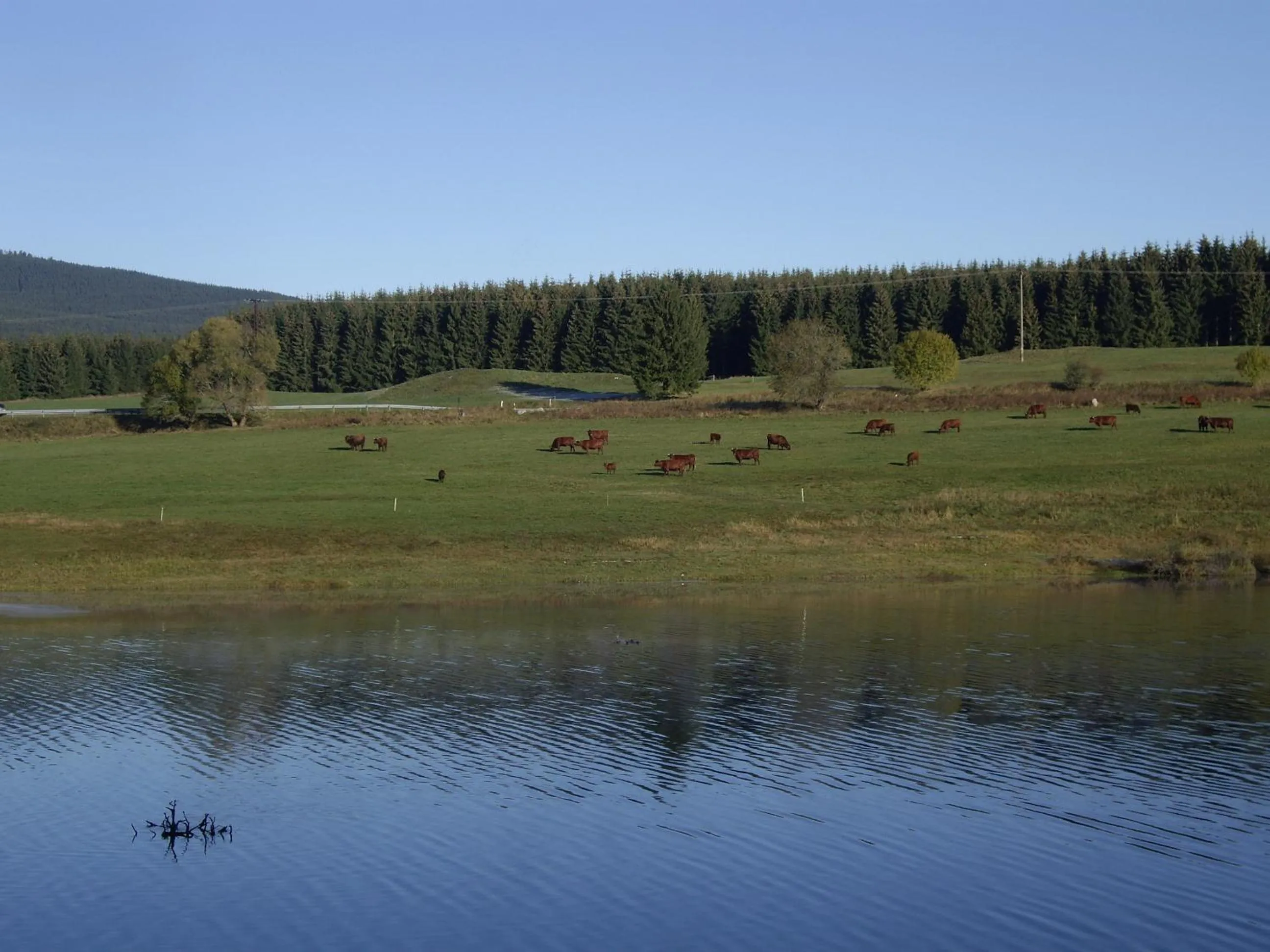 Day in Hotel Grüne Tanne Mandelholz