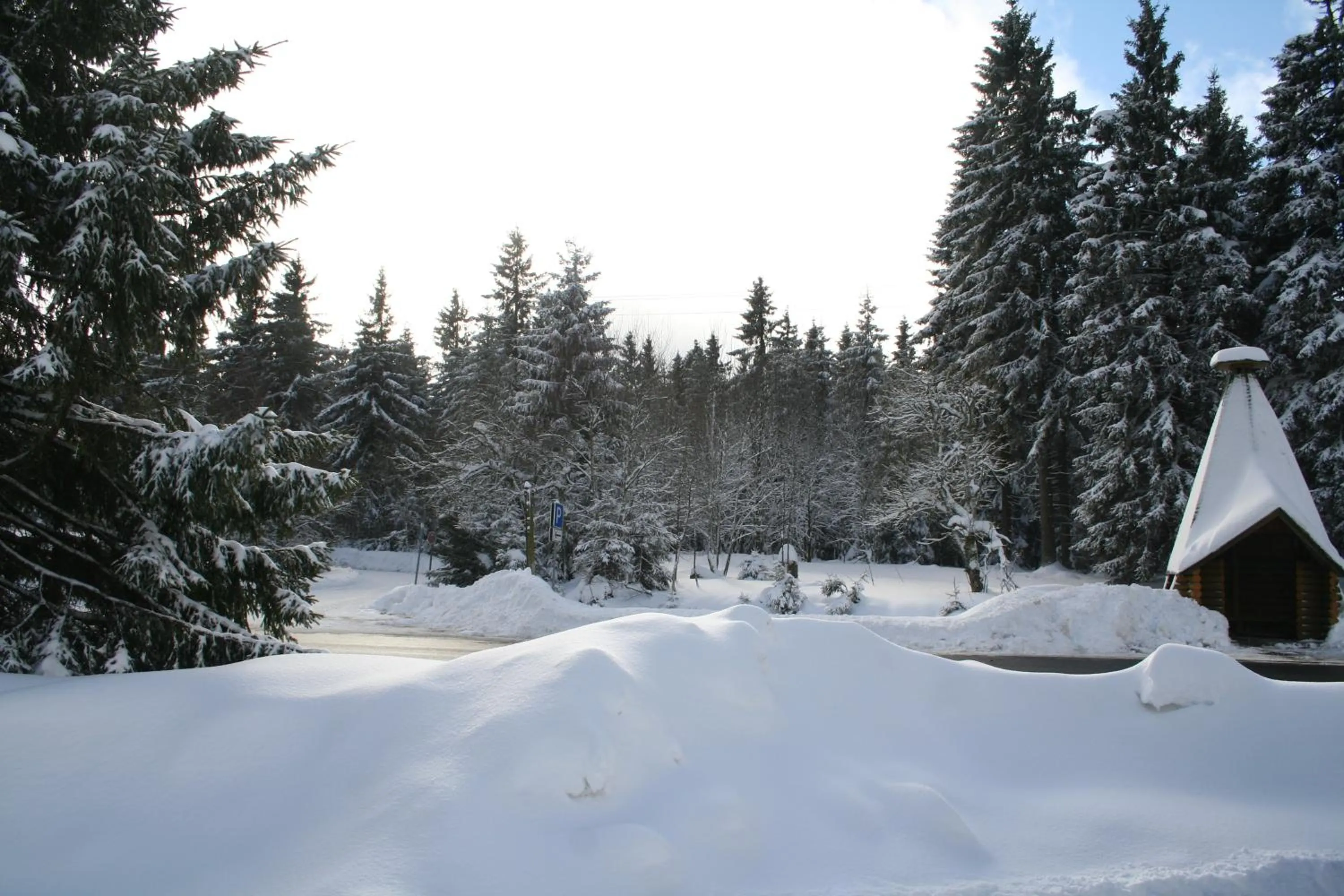 Day in Hotel Grüne Tanne Mandelholz