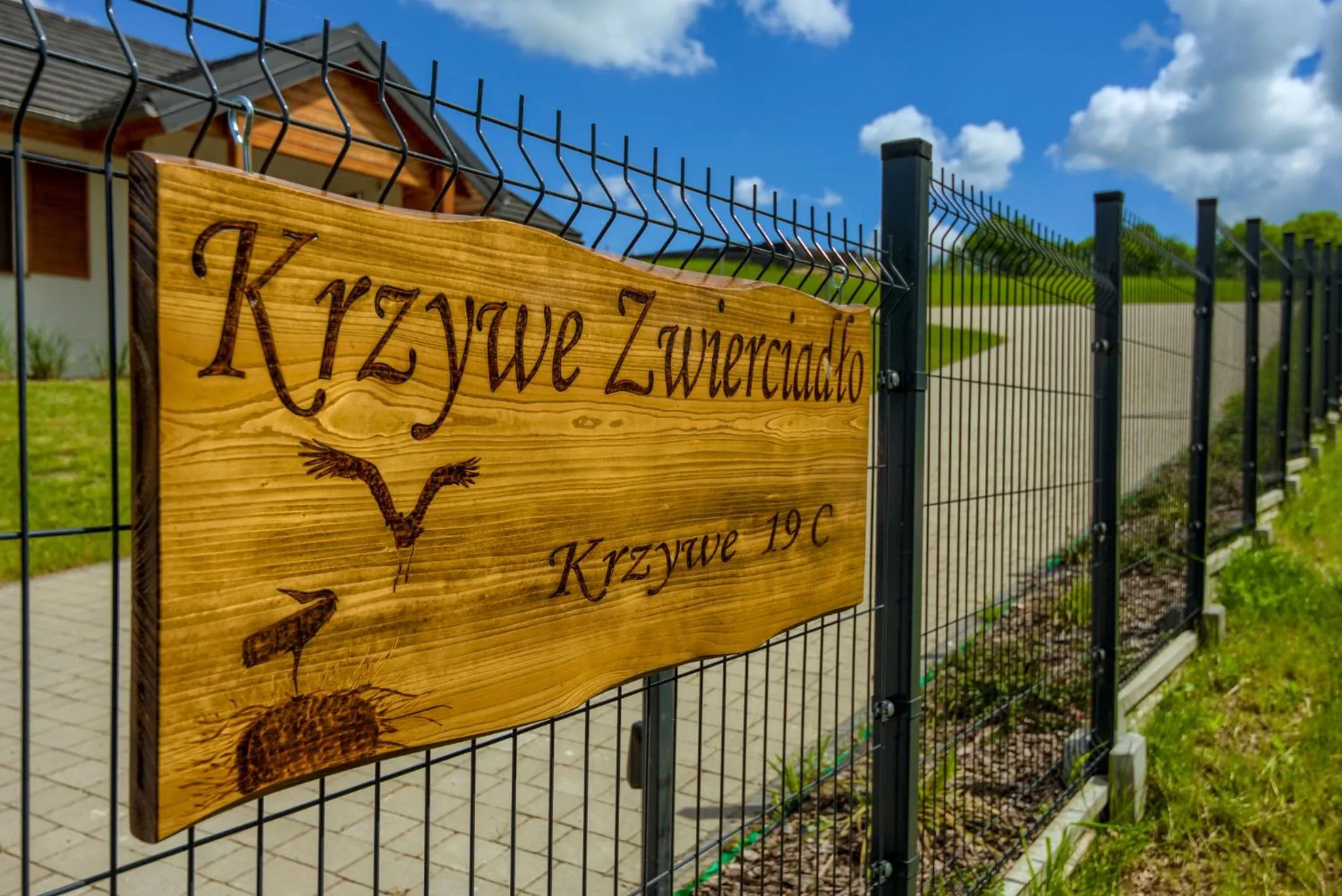 Krzywe Zwierciadło