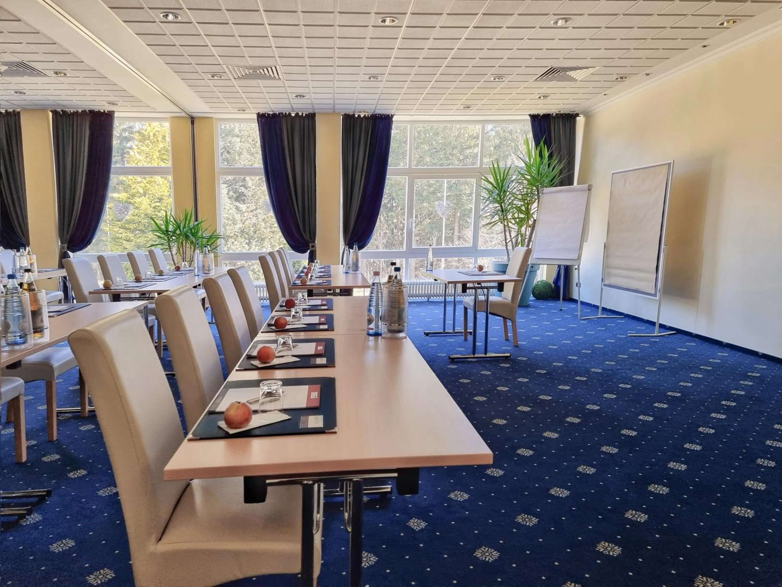 Meeting/conference room in CAREA Residenz Hotel Harzhöhe