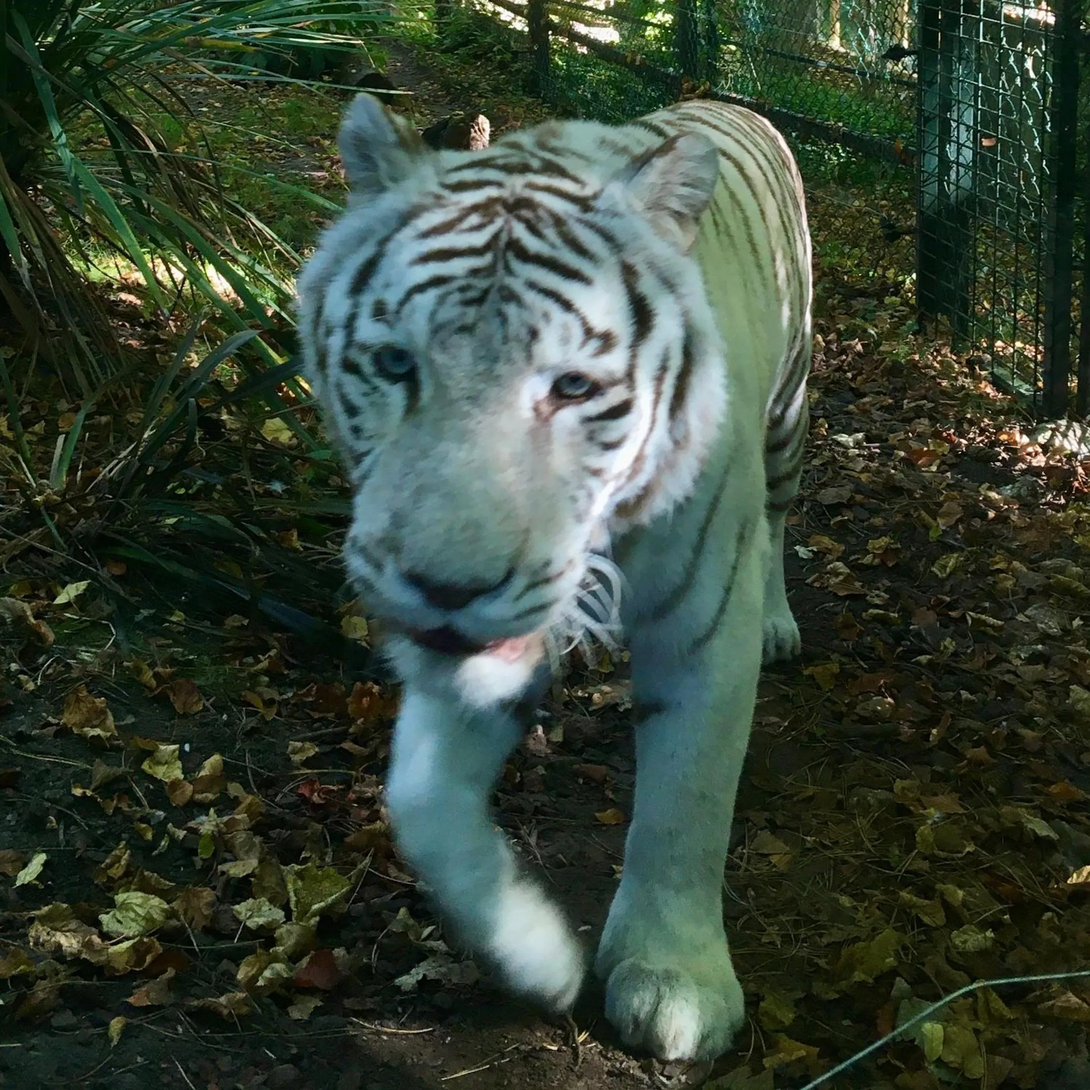 Off site in Domaine des Bois Argentés