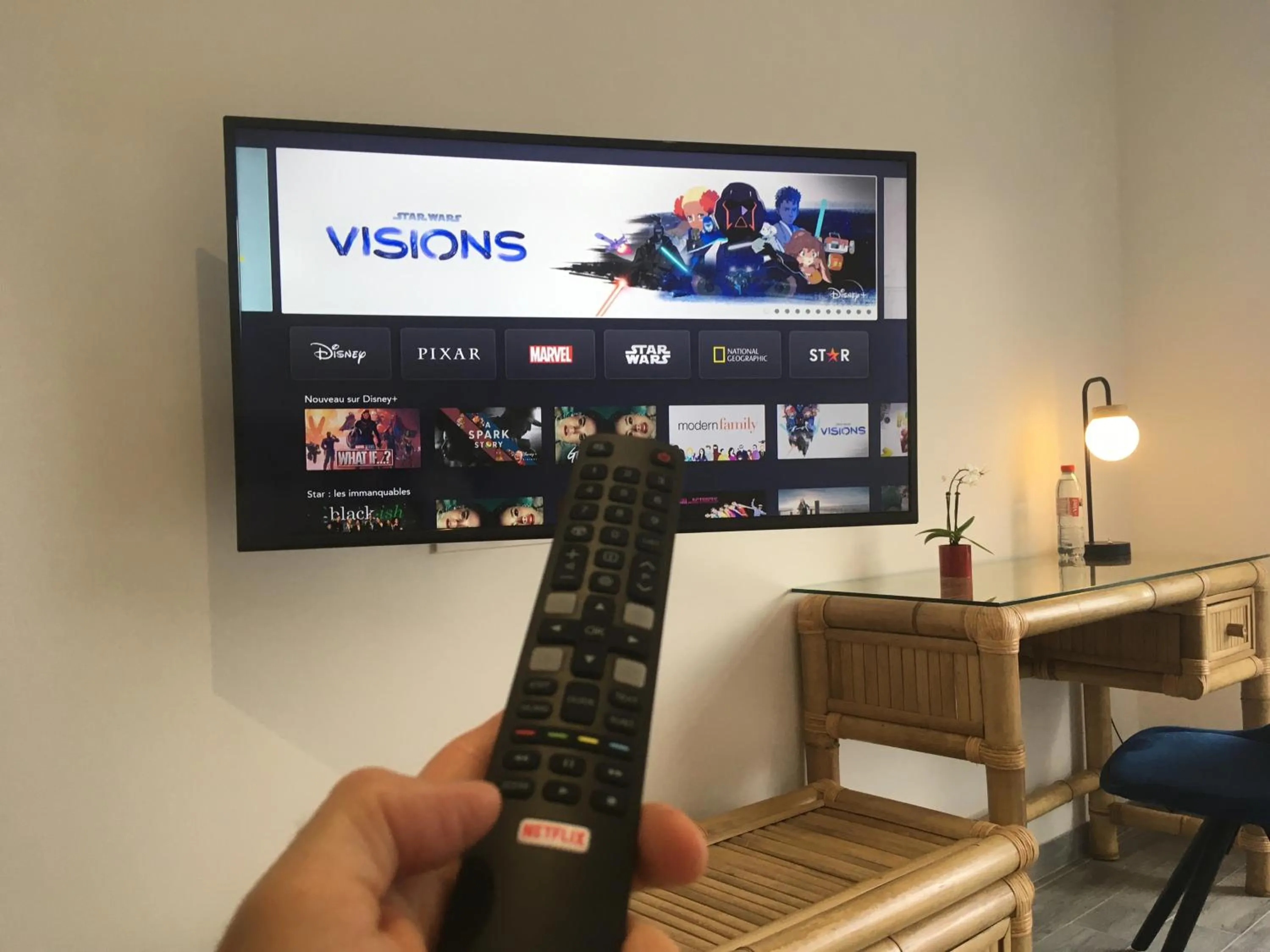 TV and multimedia in Domaine des Bois Argentés