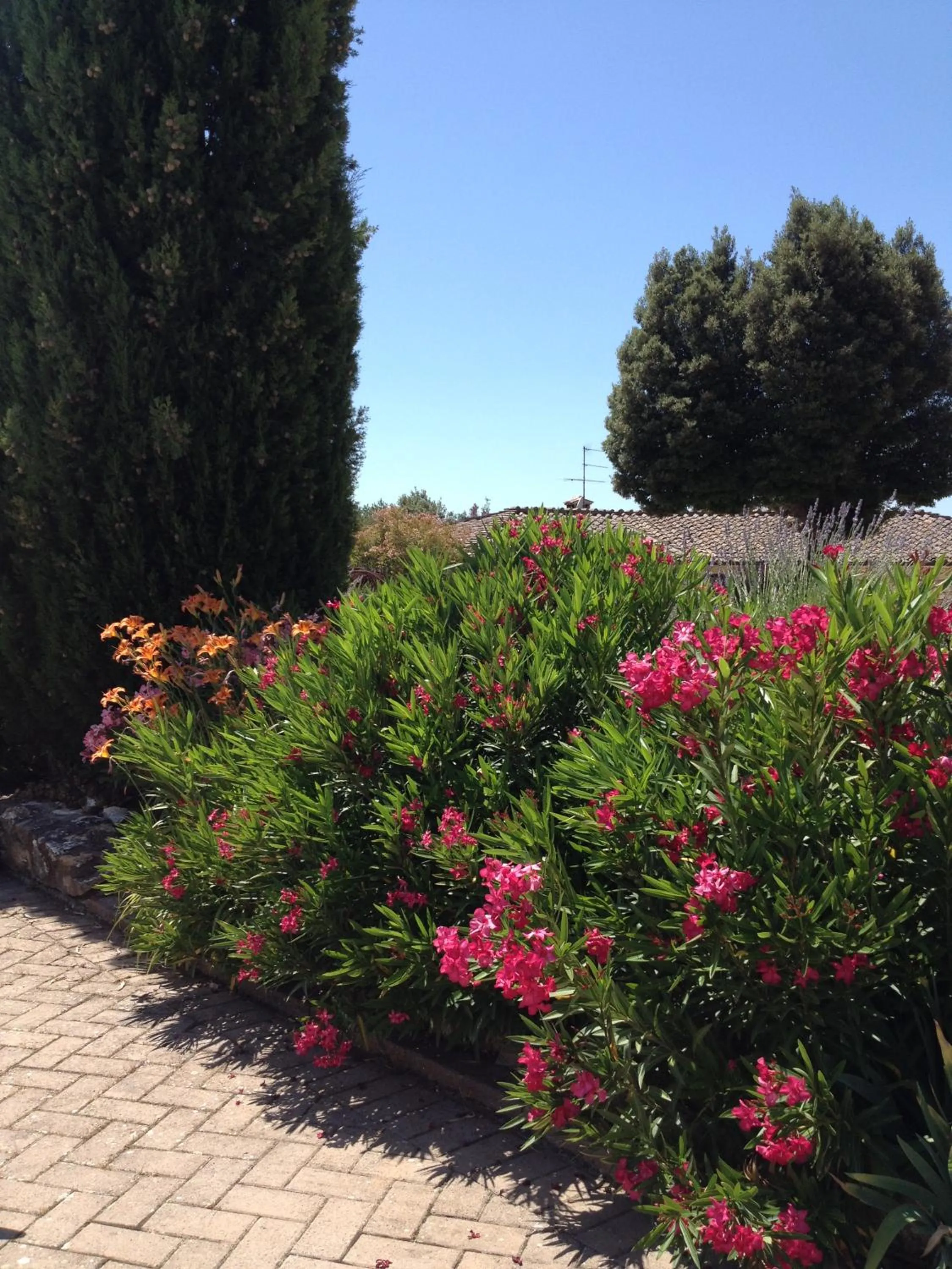 Podere La Castellina