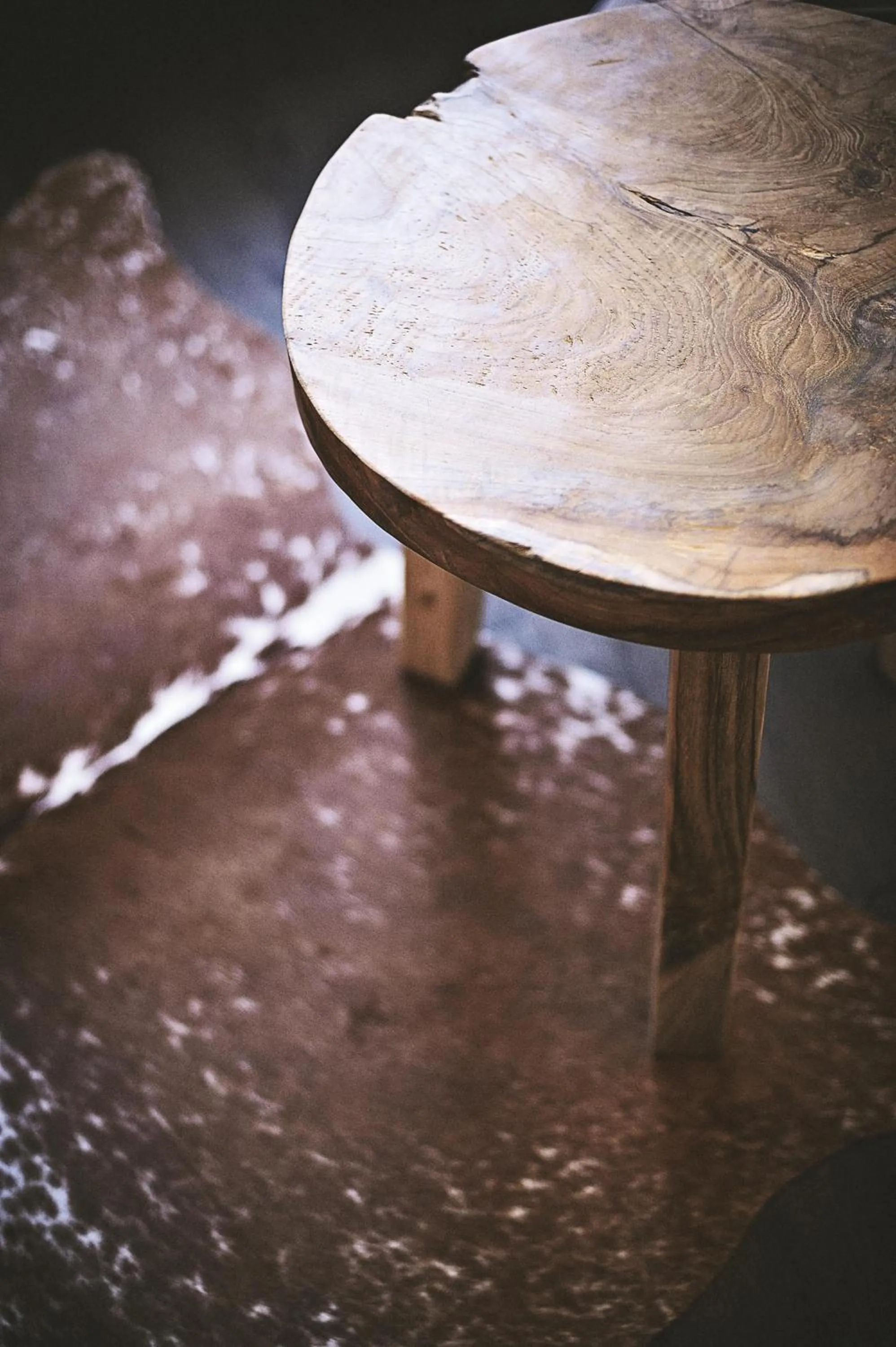 Area and facilities in Hotel Zugbrücke Grenzau GmbH