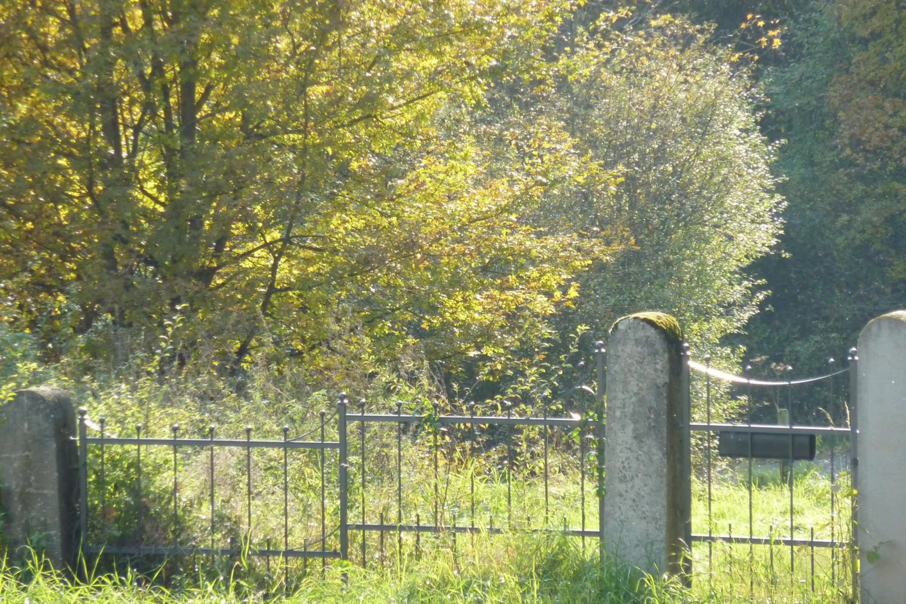 Off site in Hotel Grünwald