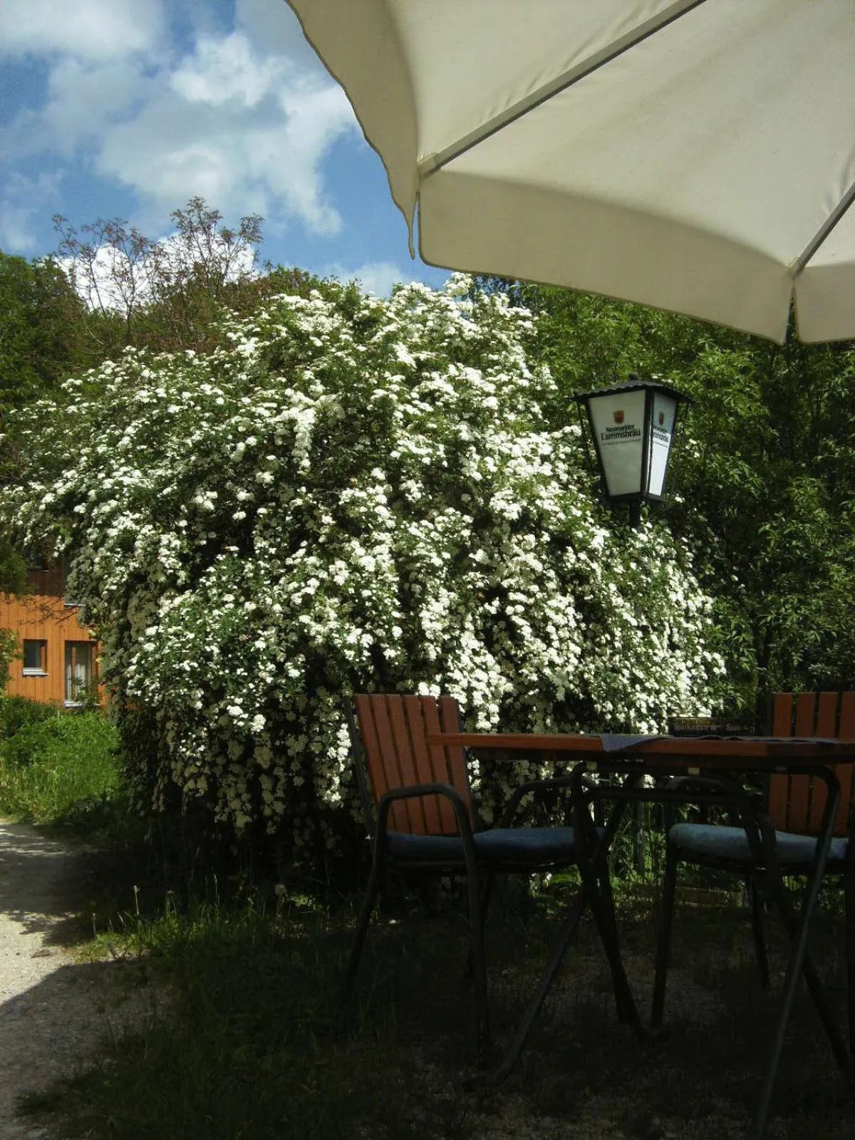 Balcony/Terrace in Hotel Grünwald