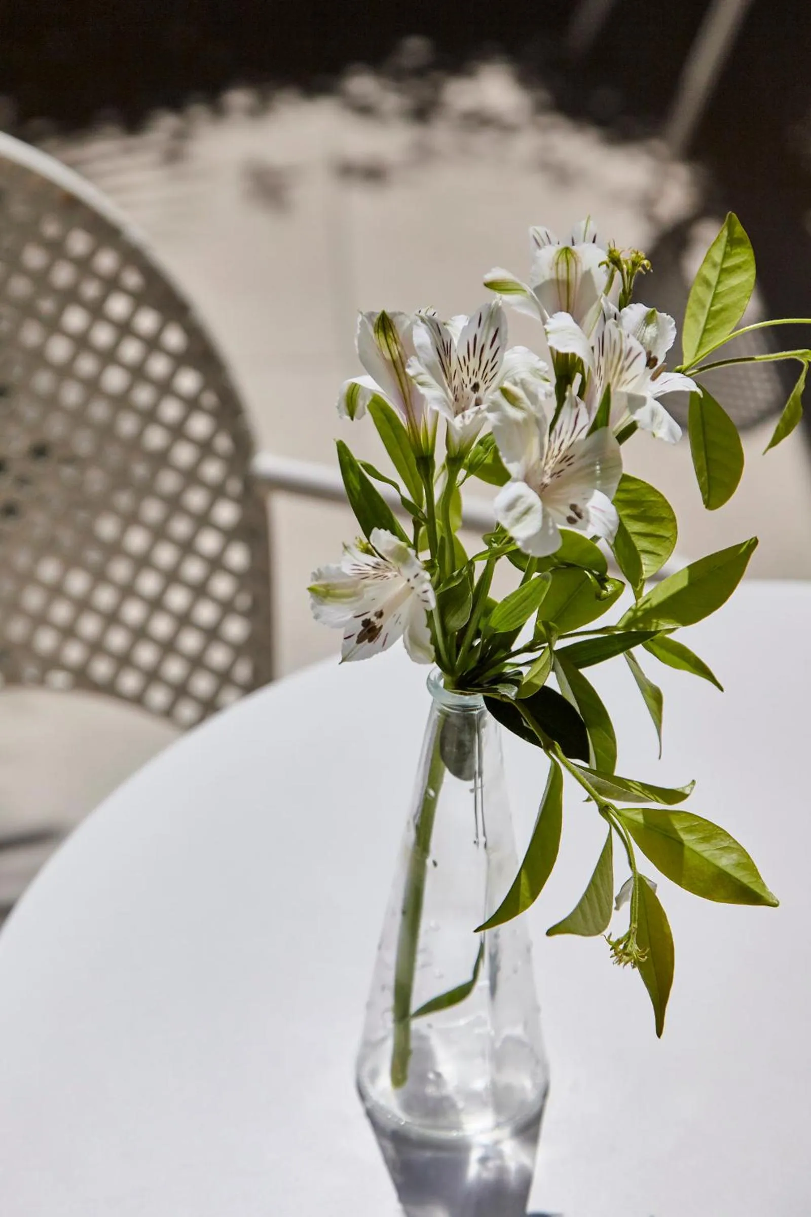 Property building in Hotel La Fenice