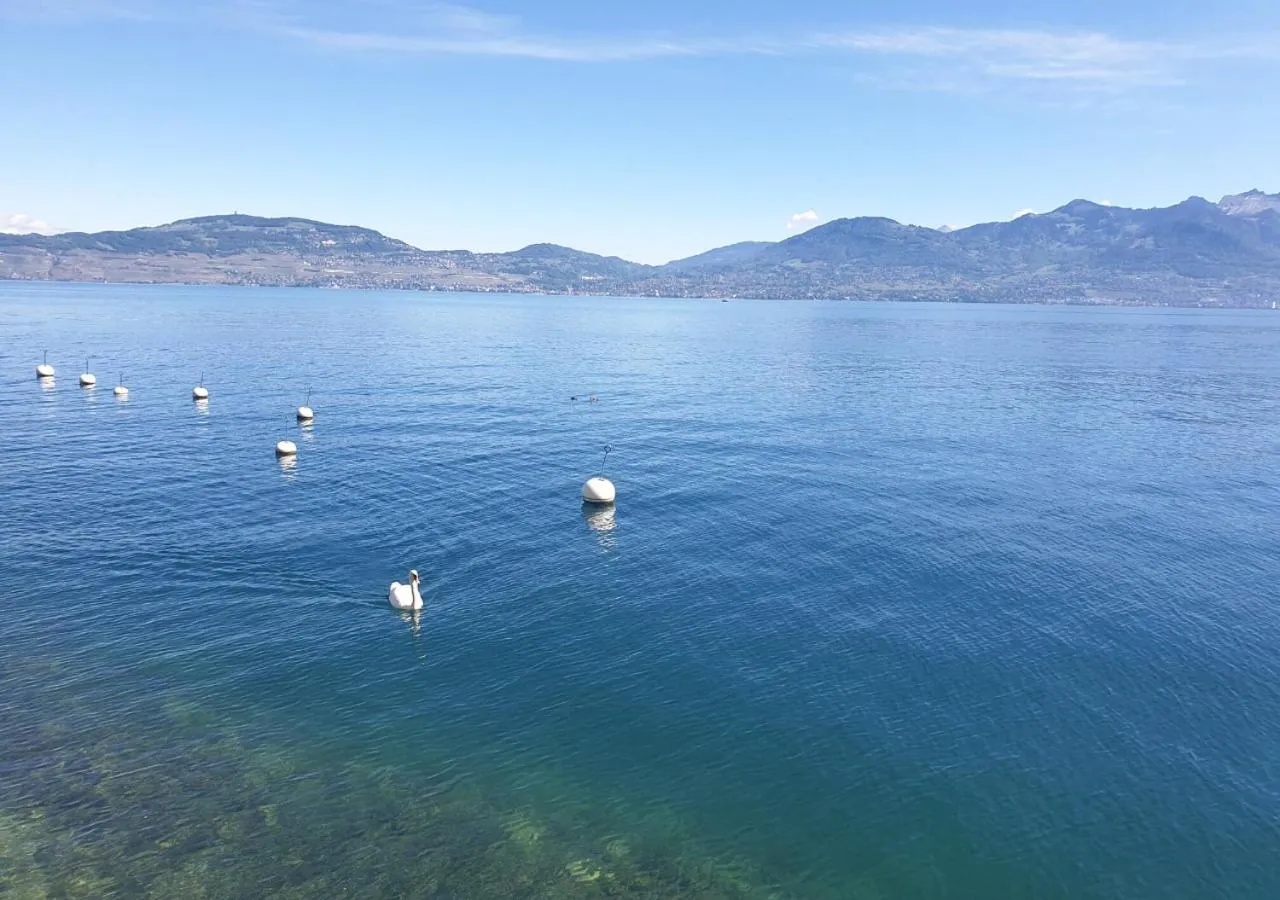 Natural landscape in Hotel Le Rivage