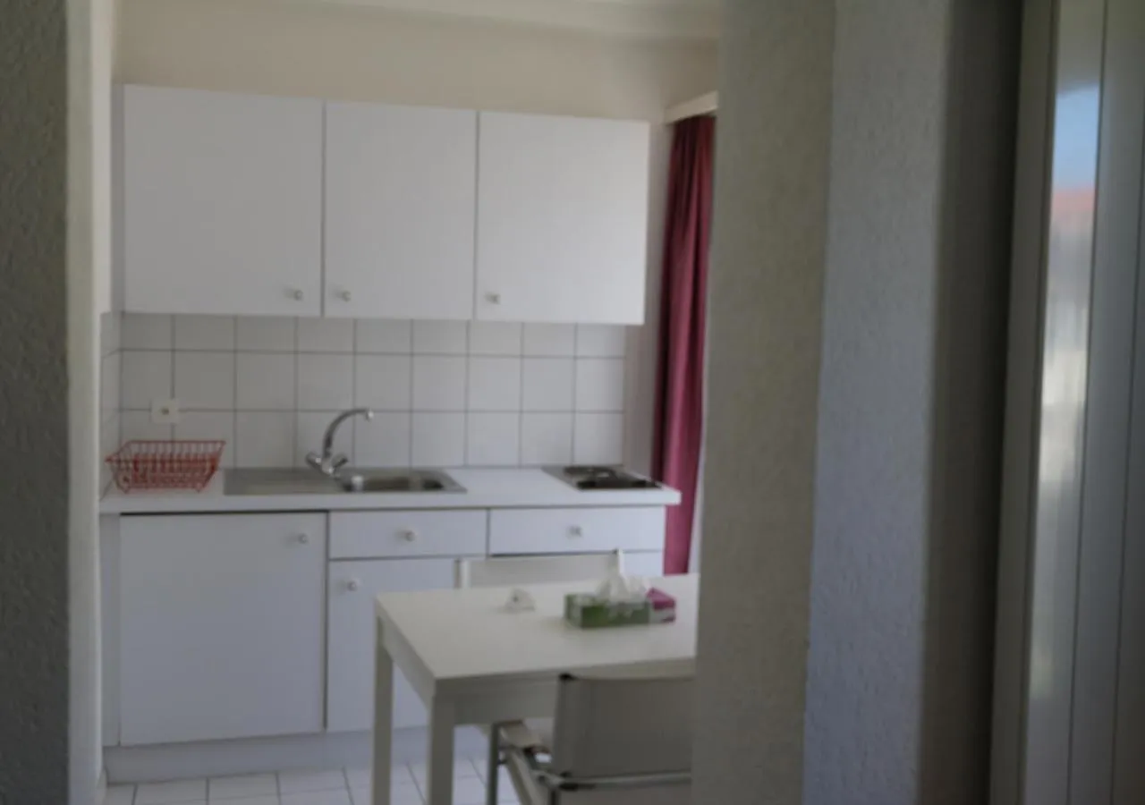 Kitchen or kitchenette in Hotel Le Rivage