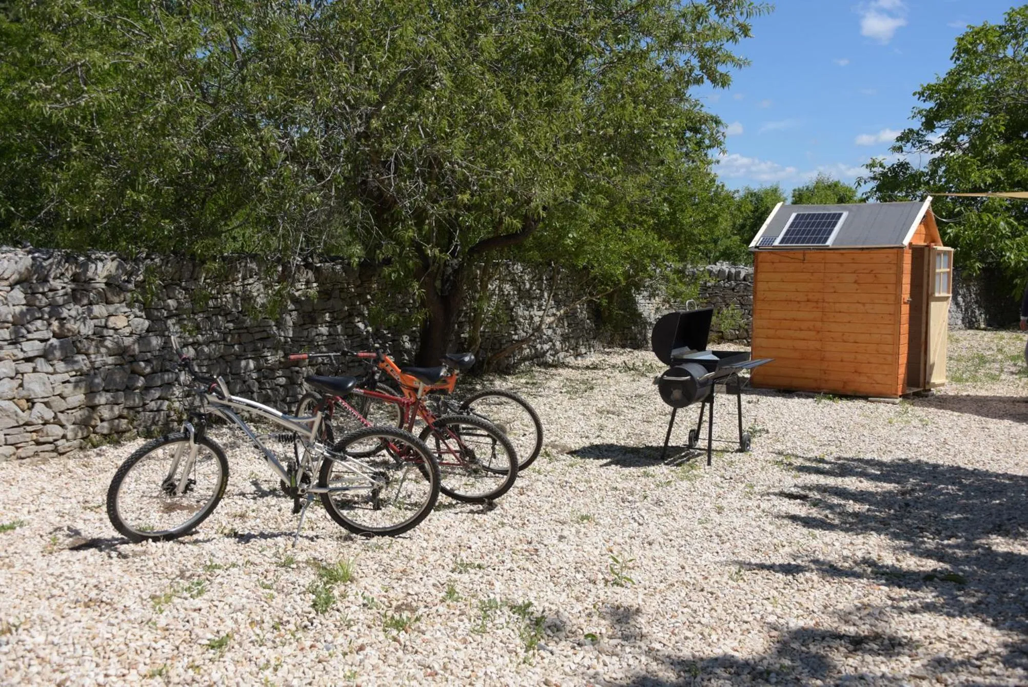 Activities in Borghetto Pedale