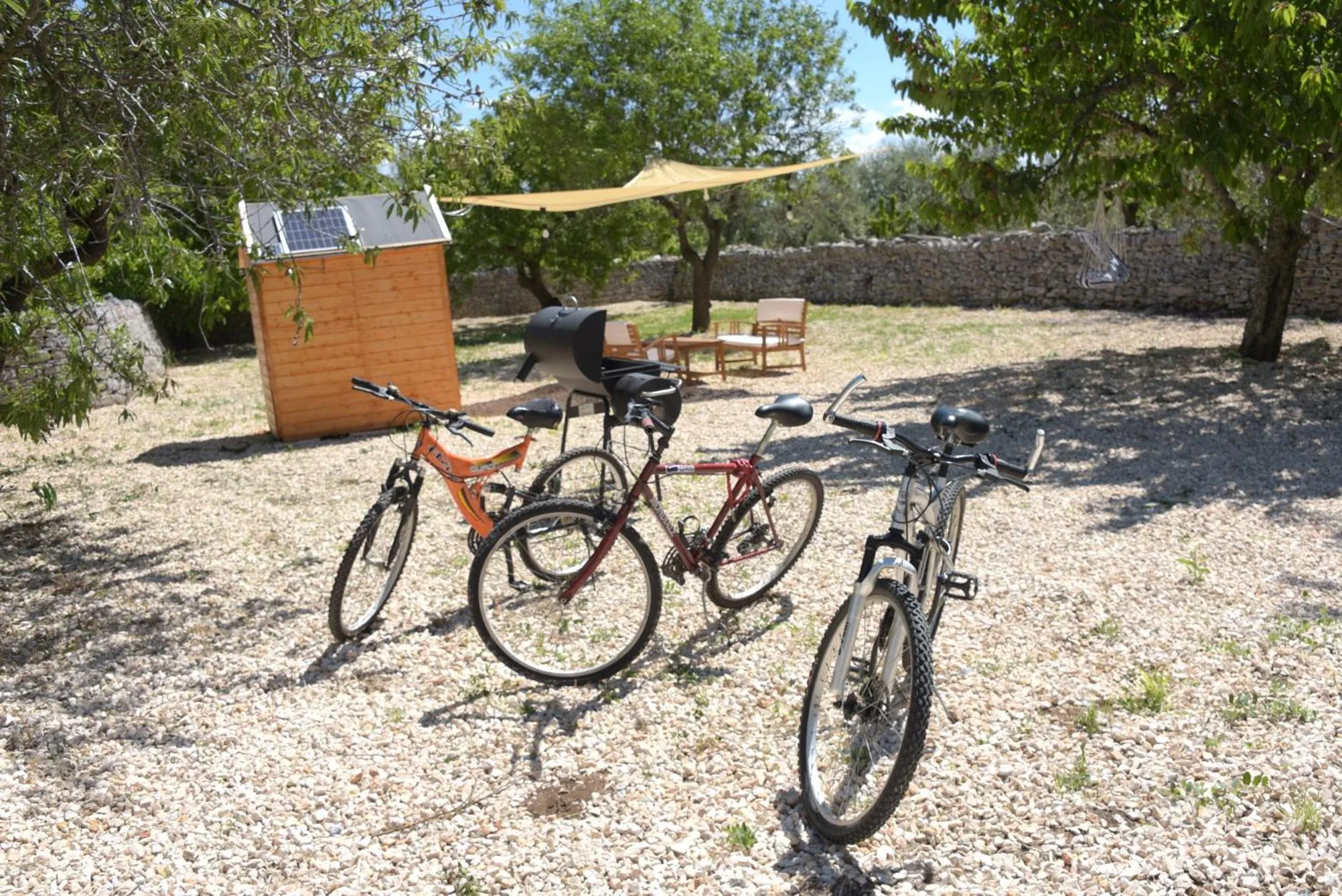 Garden in Borghetto Pedale