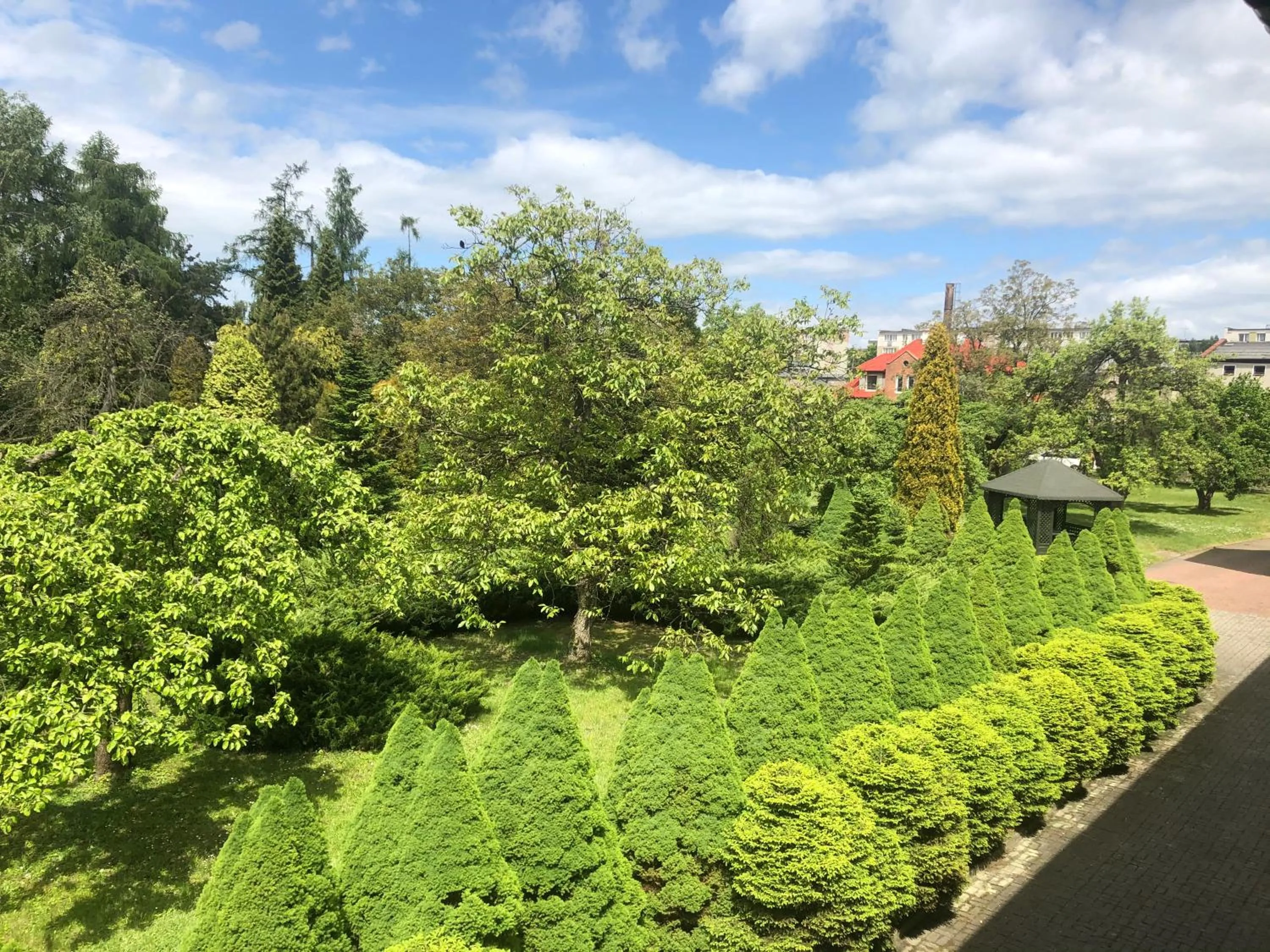 Natural landscape in Hotel Zameczek