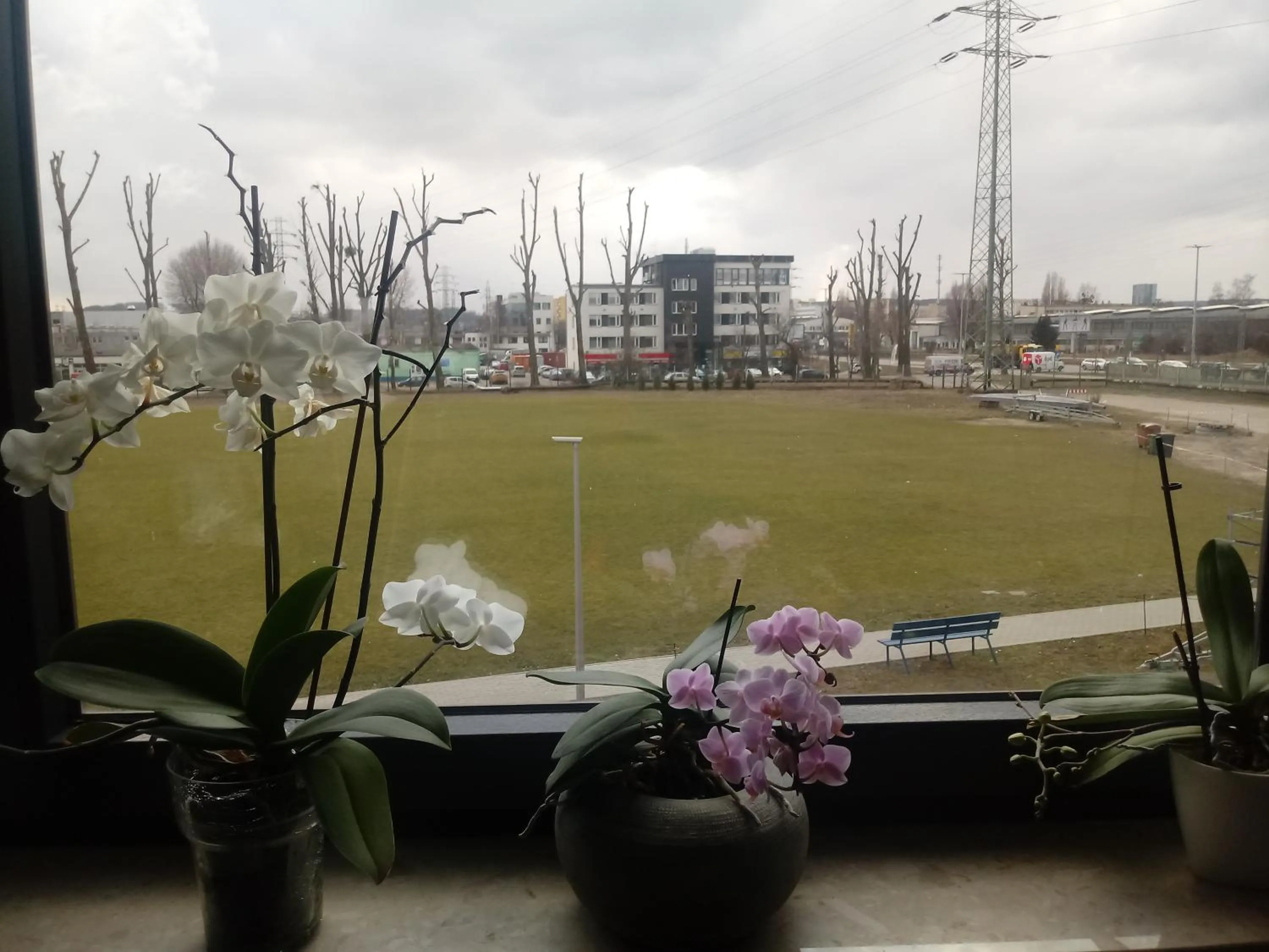 Street view in Hostel Załogowa