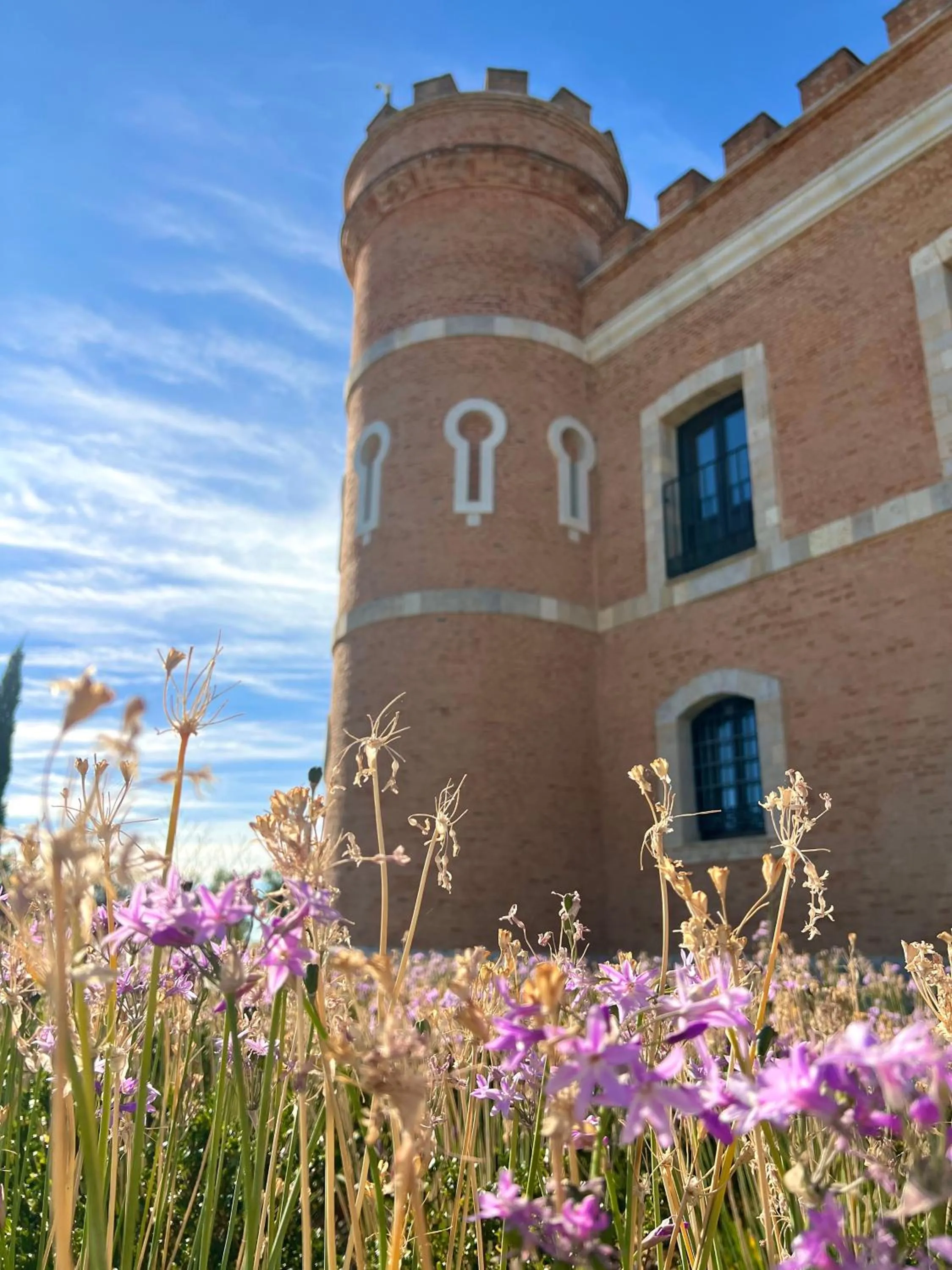 Spring in Castillo de Monte la Reina Posada Real & Bodega