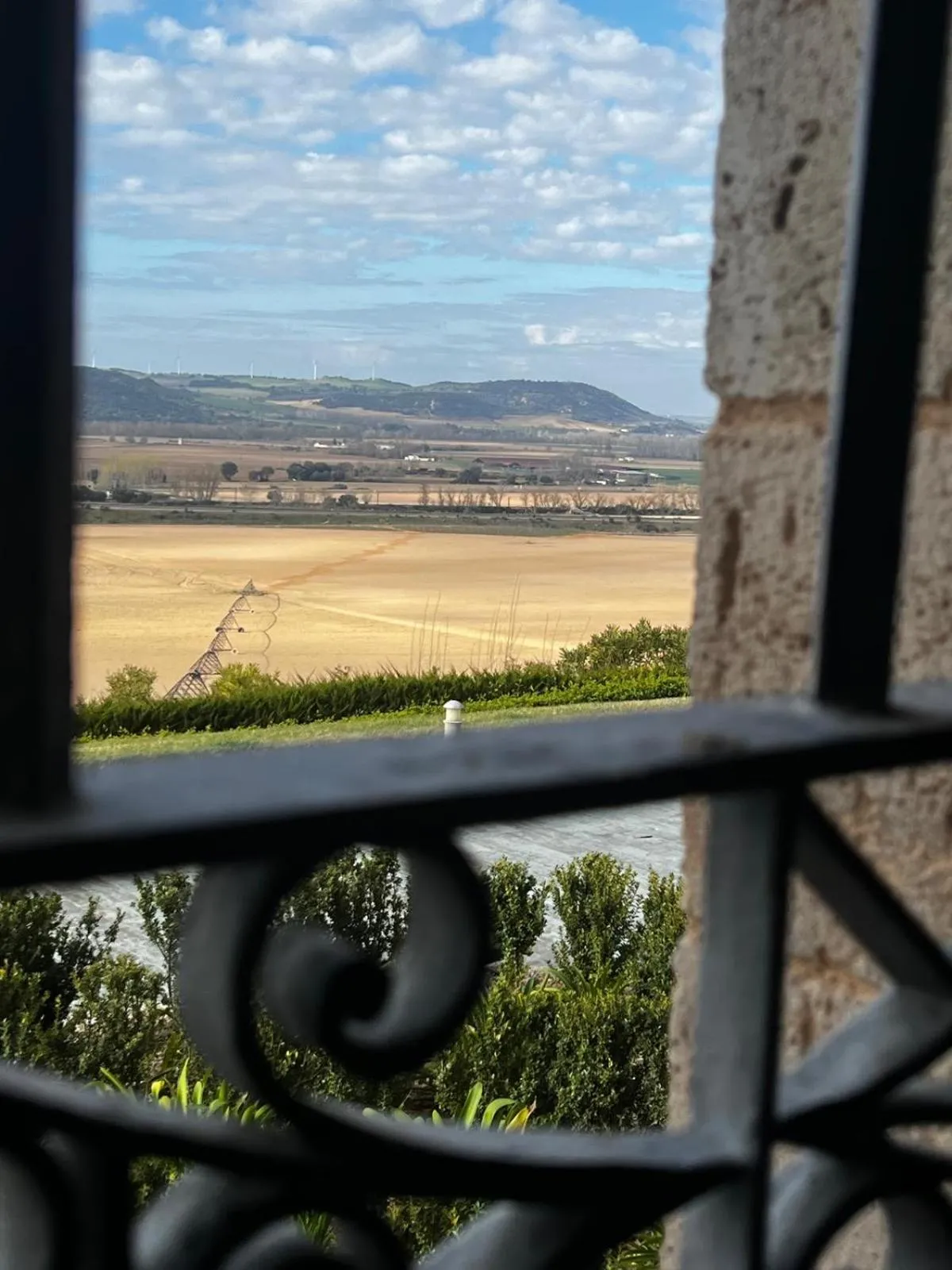 Garden view in Castillo de Monte la Reina Posada Real & Bodega