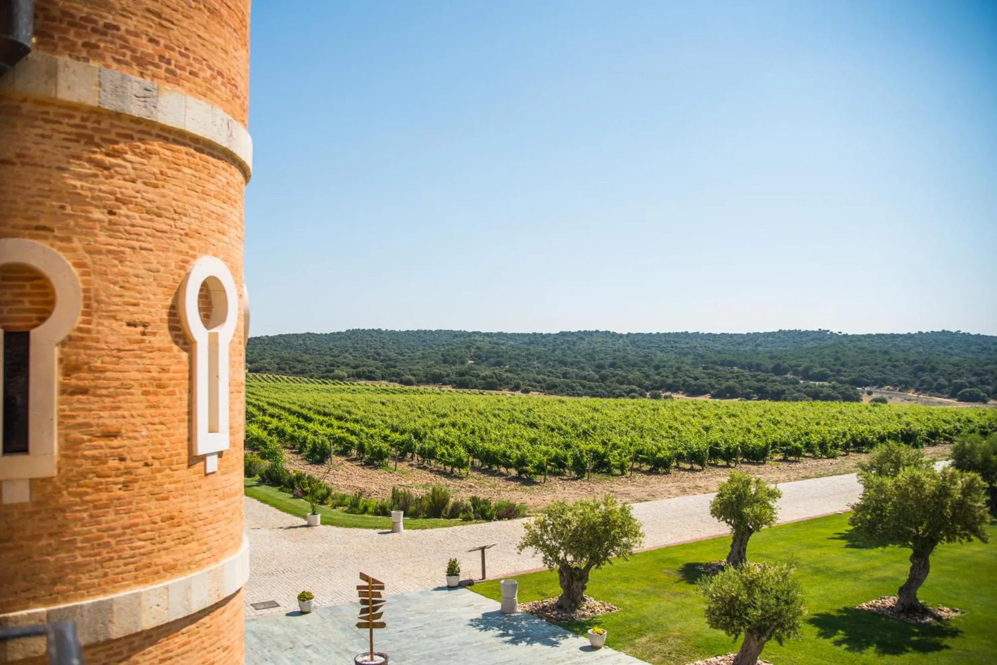 Garden view in Castillo de Monte la Reina Posada Real & Bodega