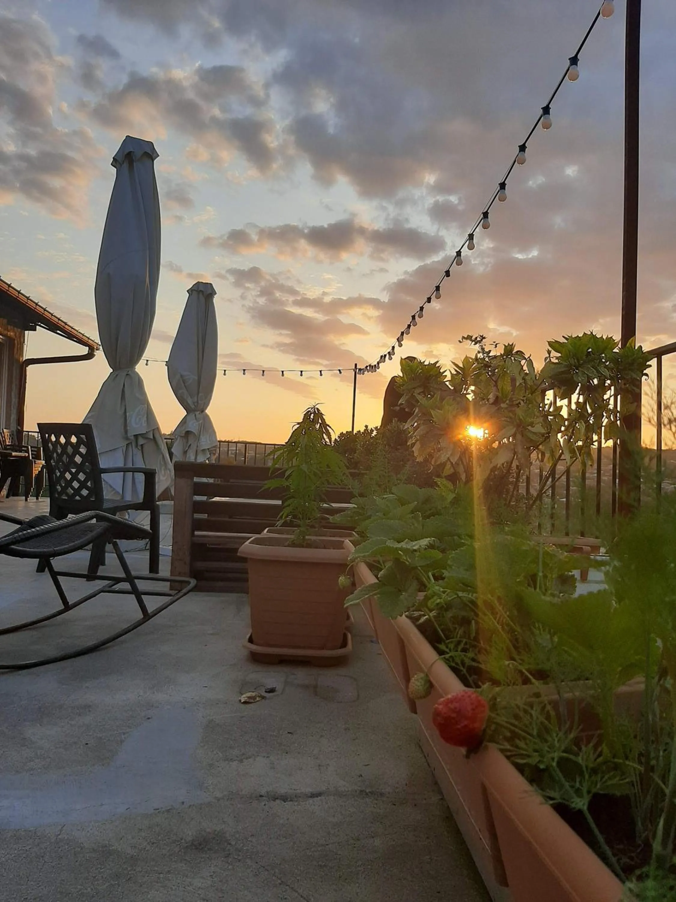 Balcony/Terrace in Green Flower Boutique Hotel and Winery