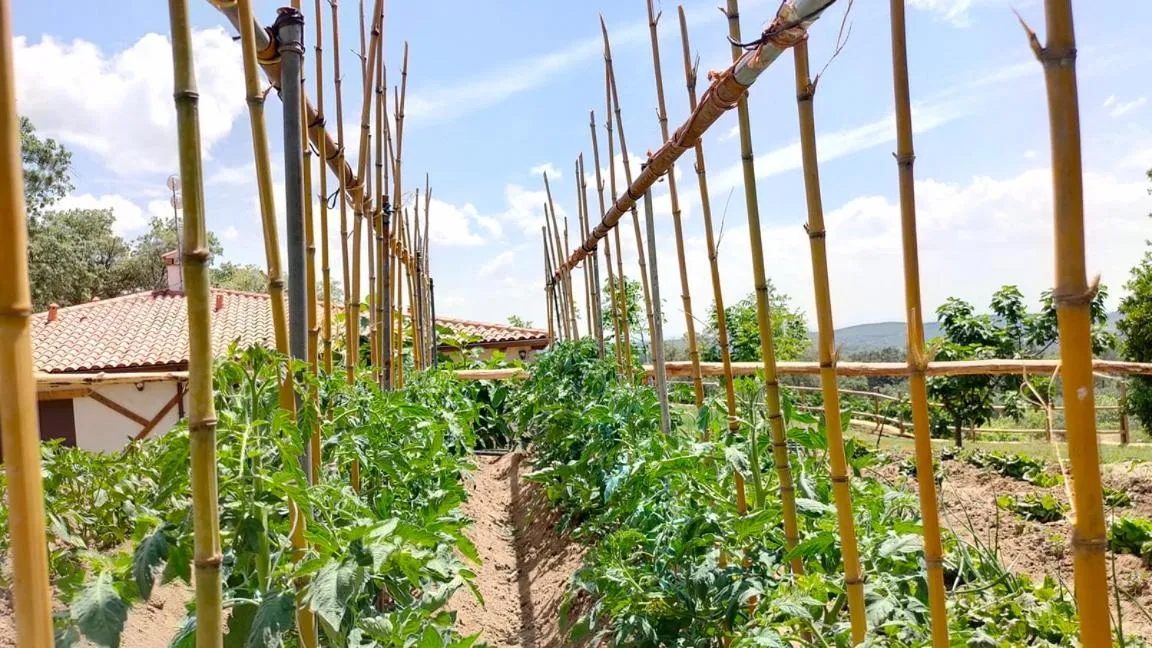 Hotel Rural San Giles