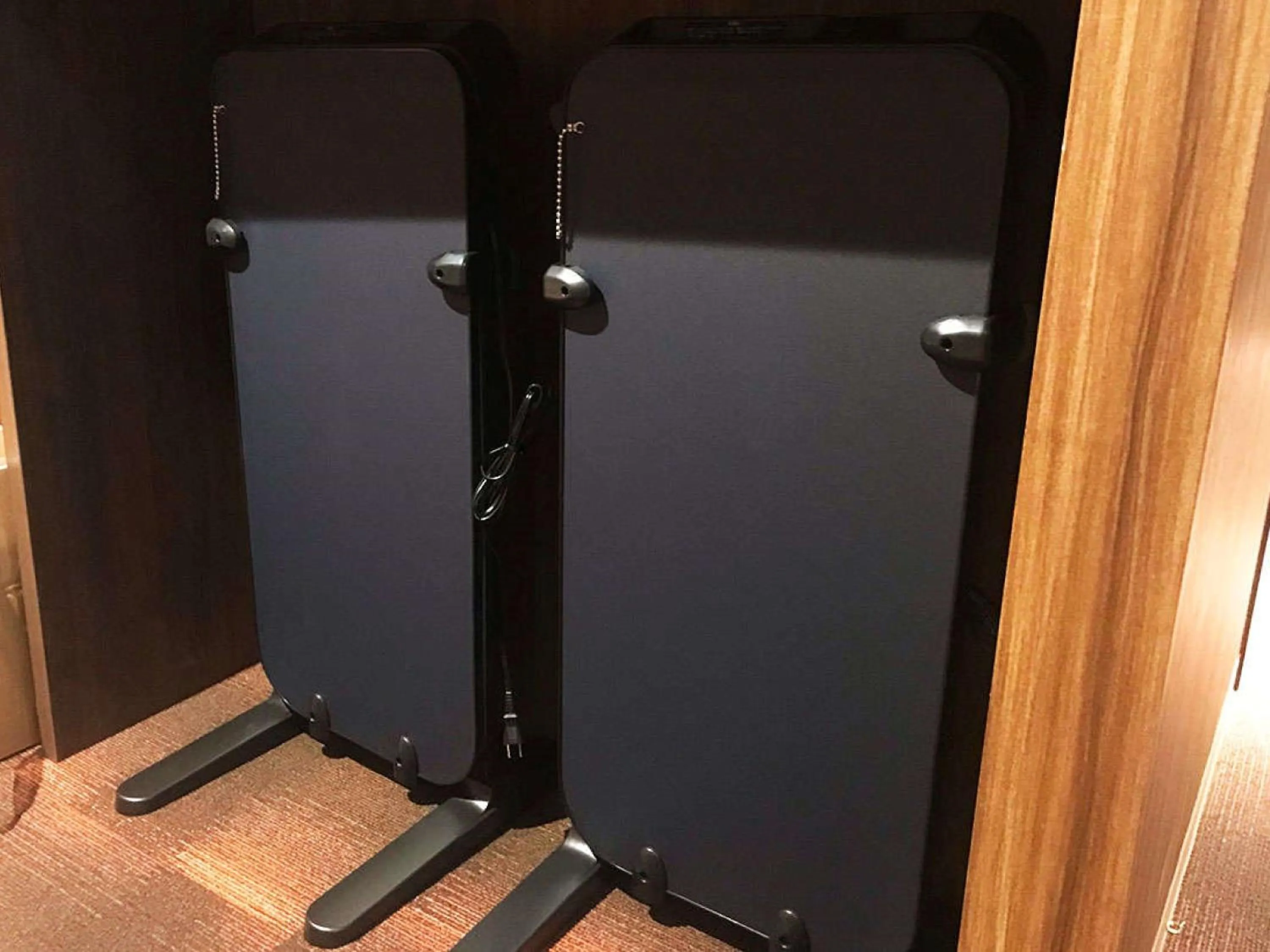 Area and facilities in KOKO HOTEL Hidatakayama - formaly Hotel Wing Hida Takayama