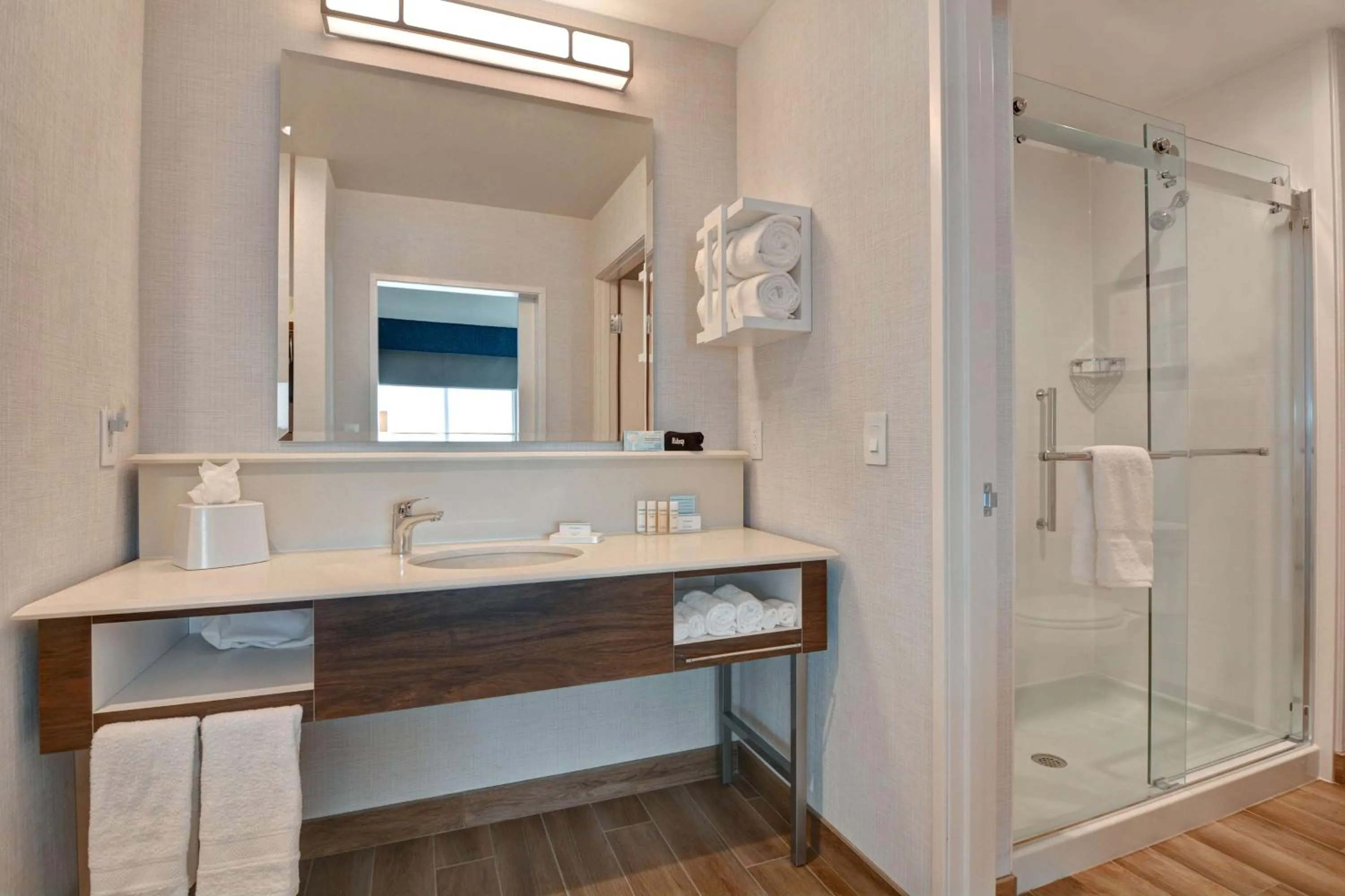 Bathroom in Hampton Inn & Suites Nashville Downtown Capitol View, Tn