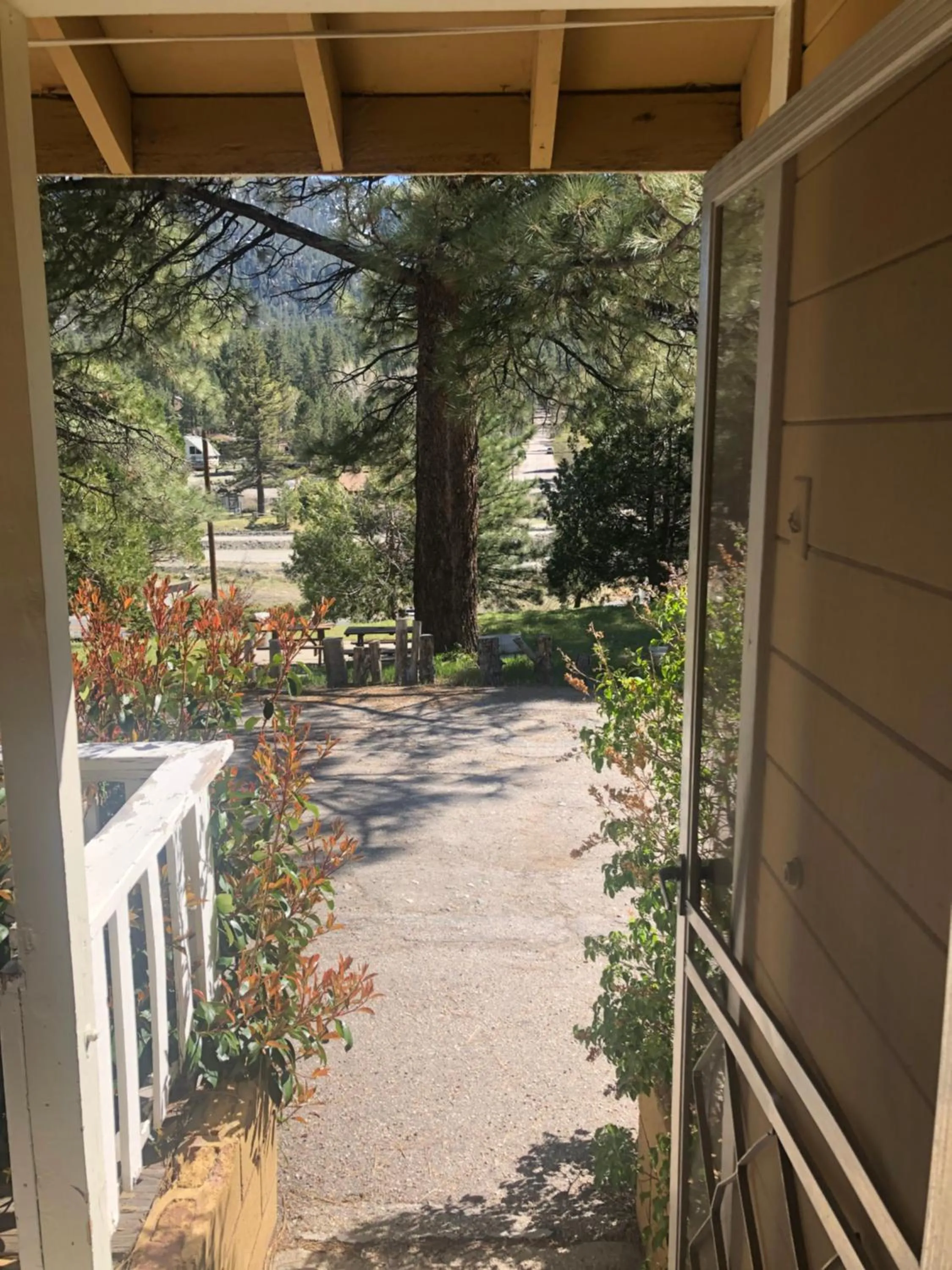 Mountain View Cabins