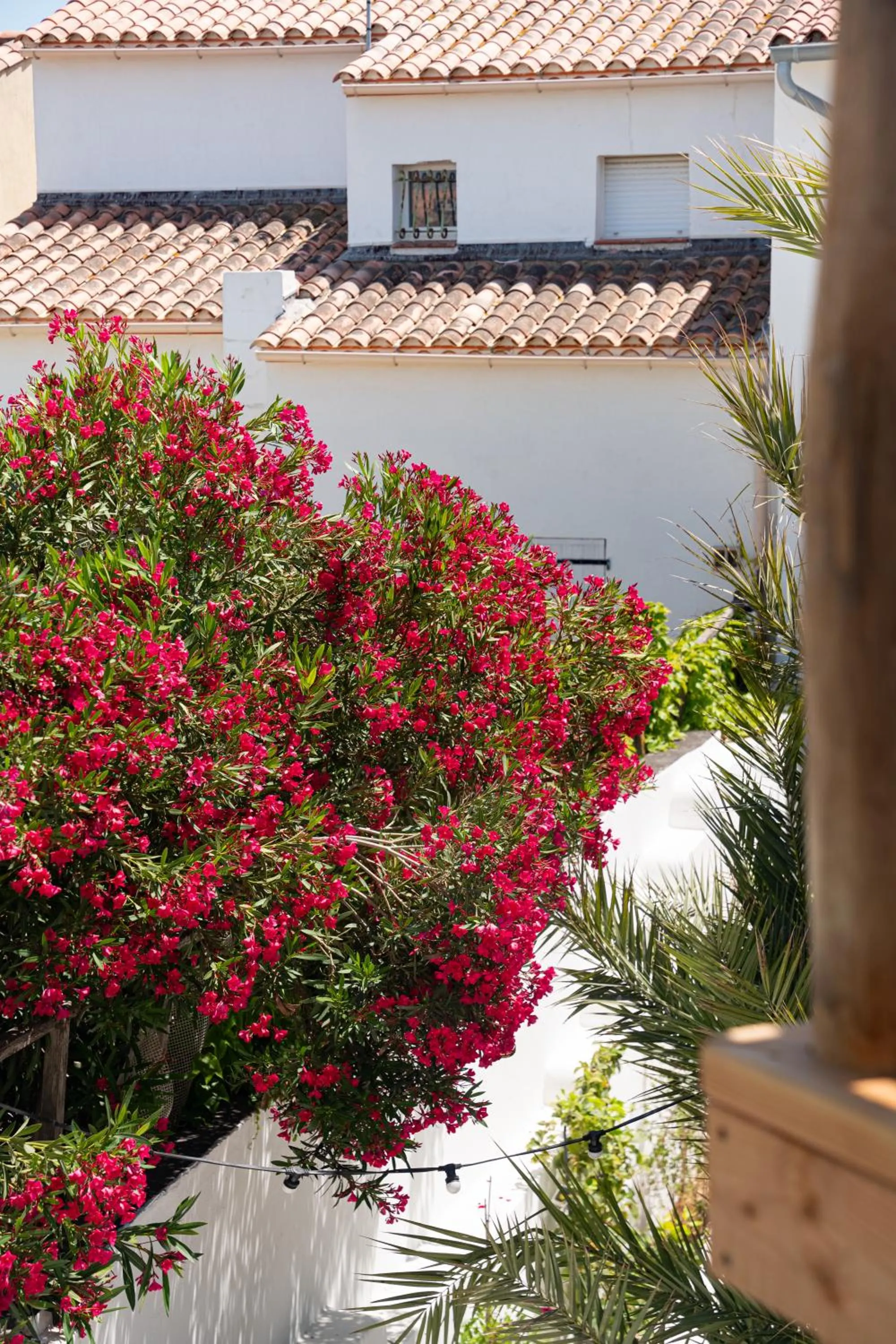 Patio in Hôtel Casa Marina