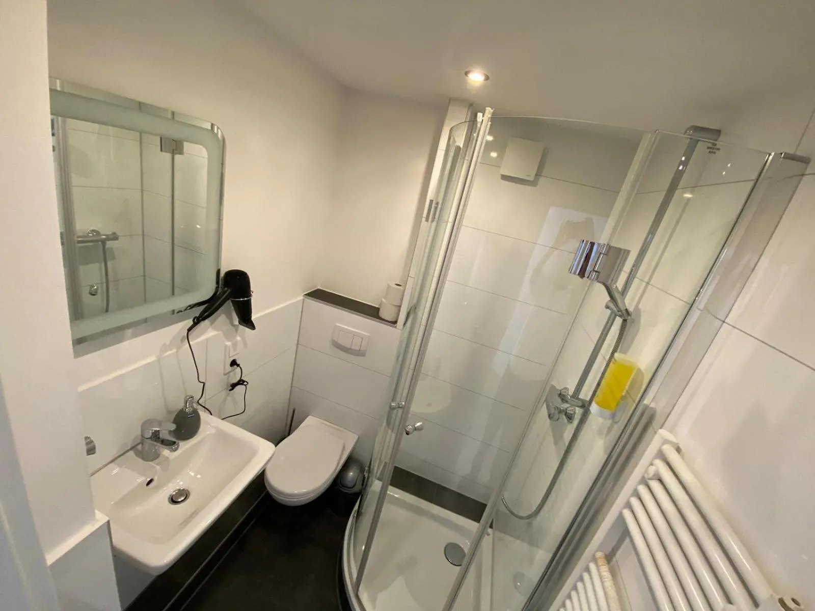 Shower in Apartments am Rheingarten