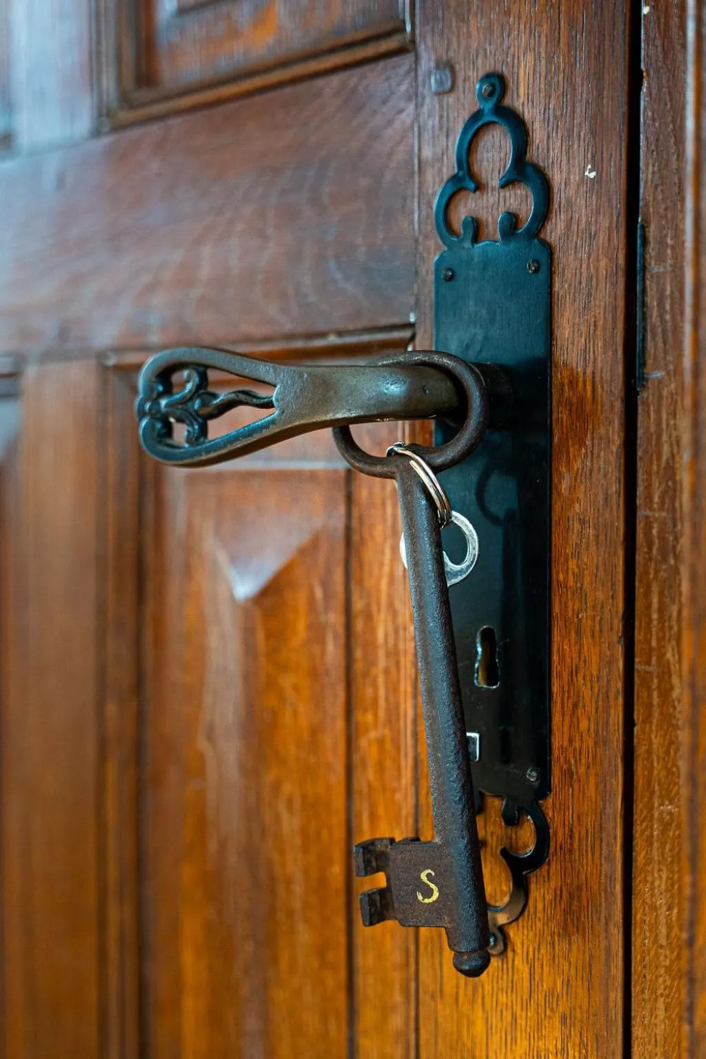 Decorative detail in La Meffrais 1741 - Manoir Élégant - B&B - Parking - 3 min de Dinan
