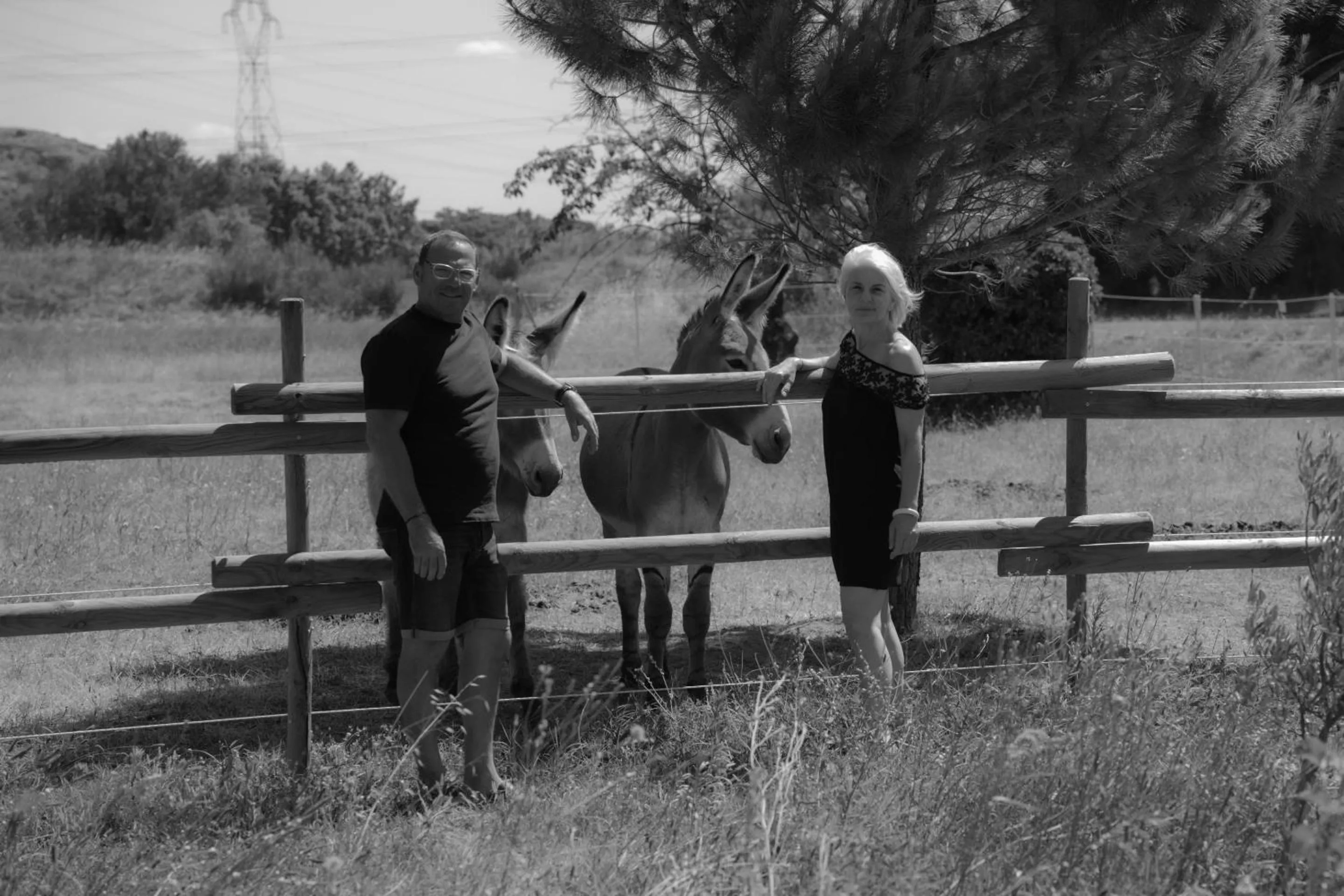 Other in Mas d'Auseu