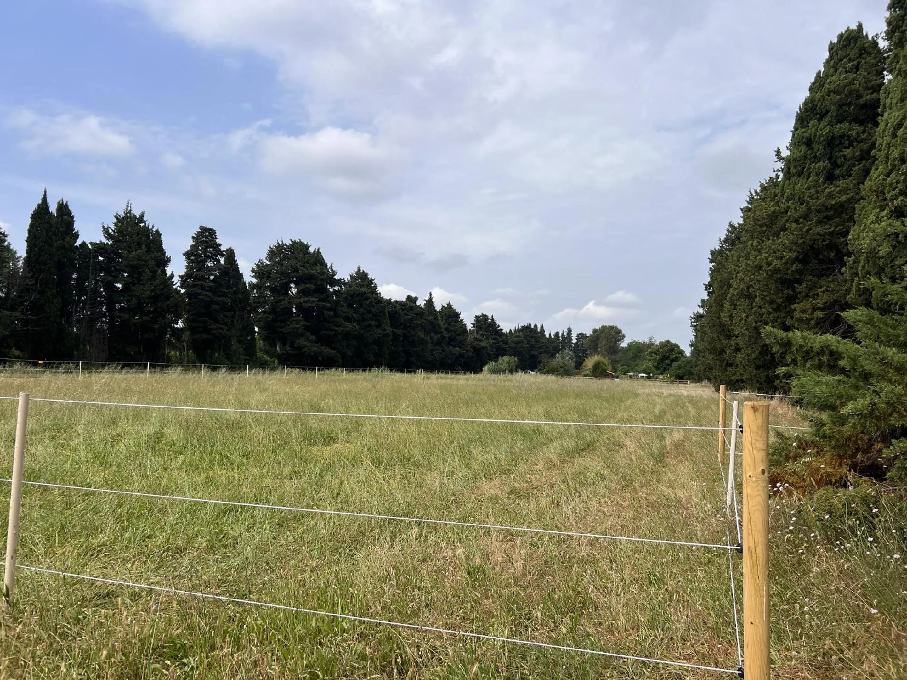 Property building in Mas d'Auseu