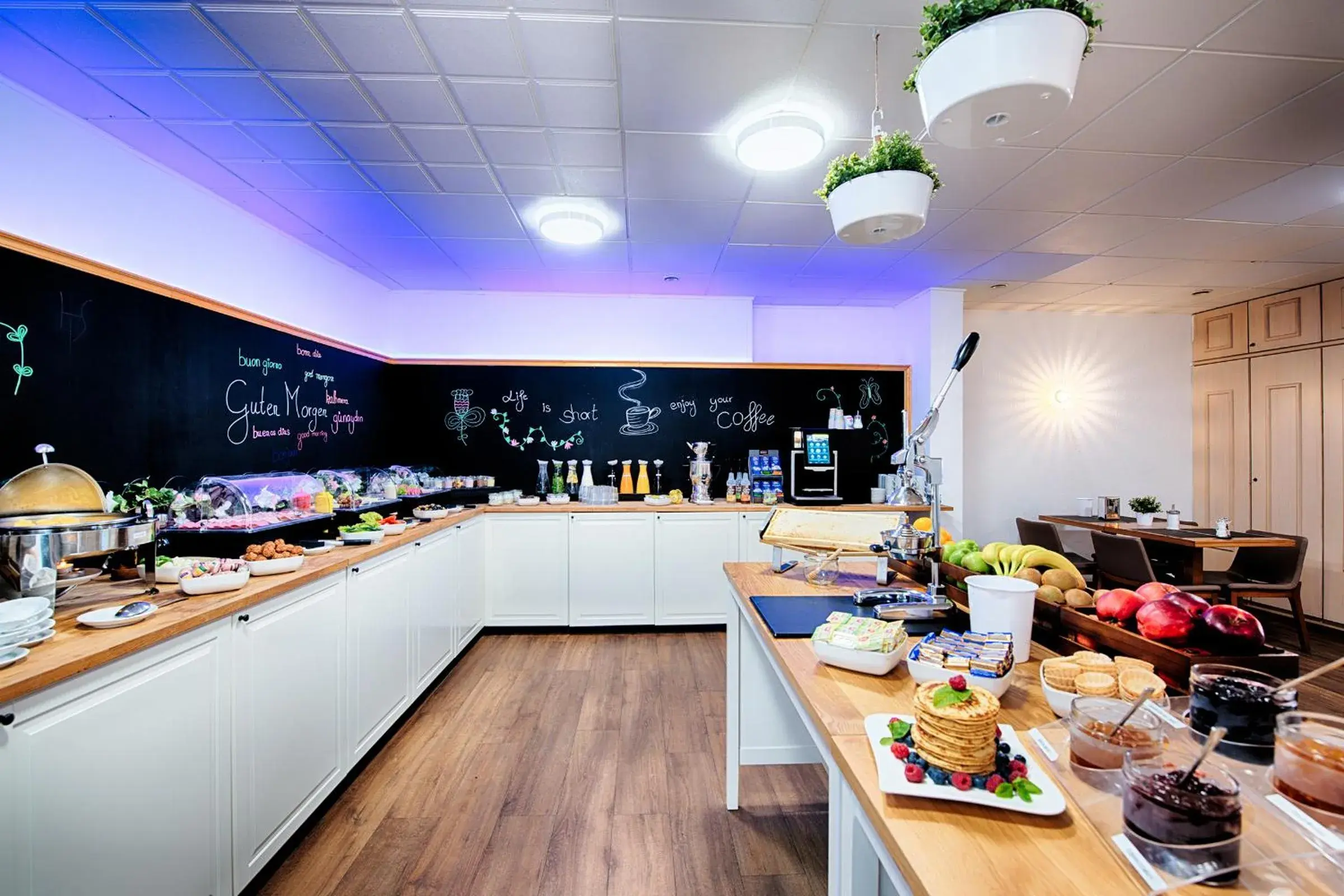 Food and drinks in Hotel Senator Food and drinks in Hotel Senator