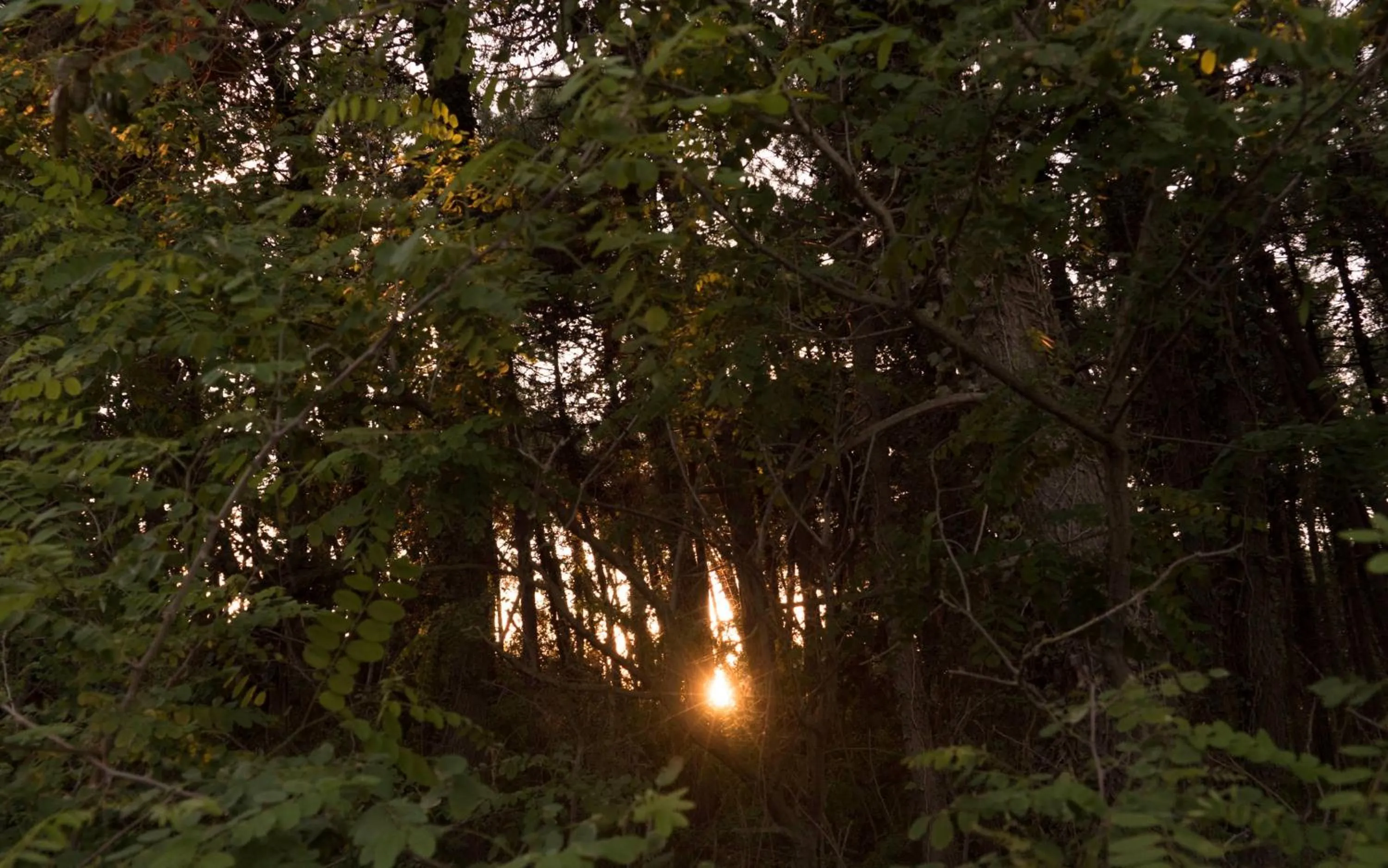 Natural landscape in Albergo Medusa